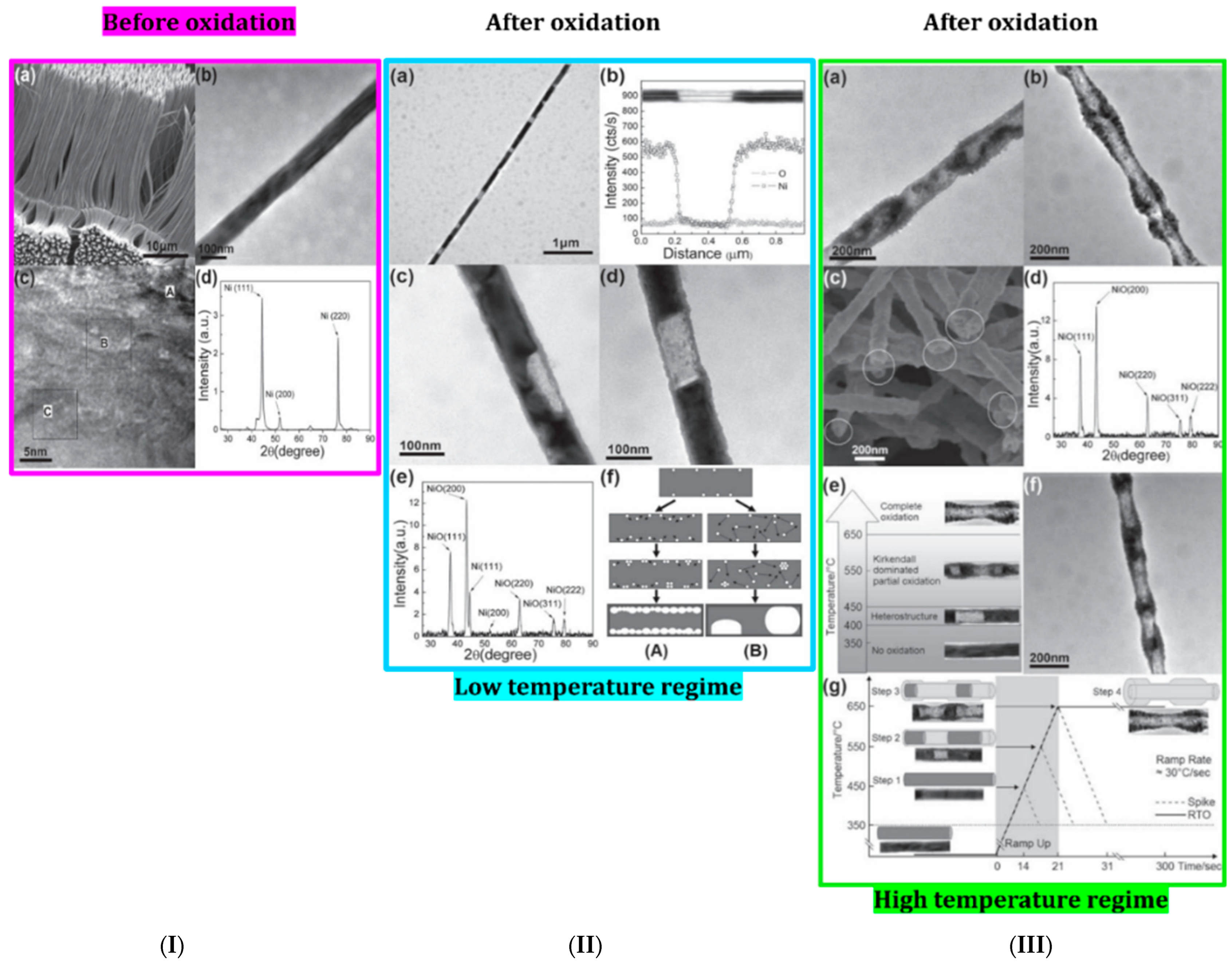 Chemosensors 12 00045 g011