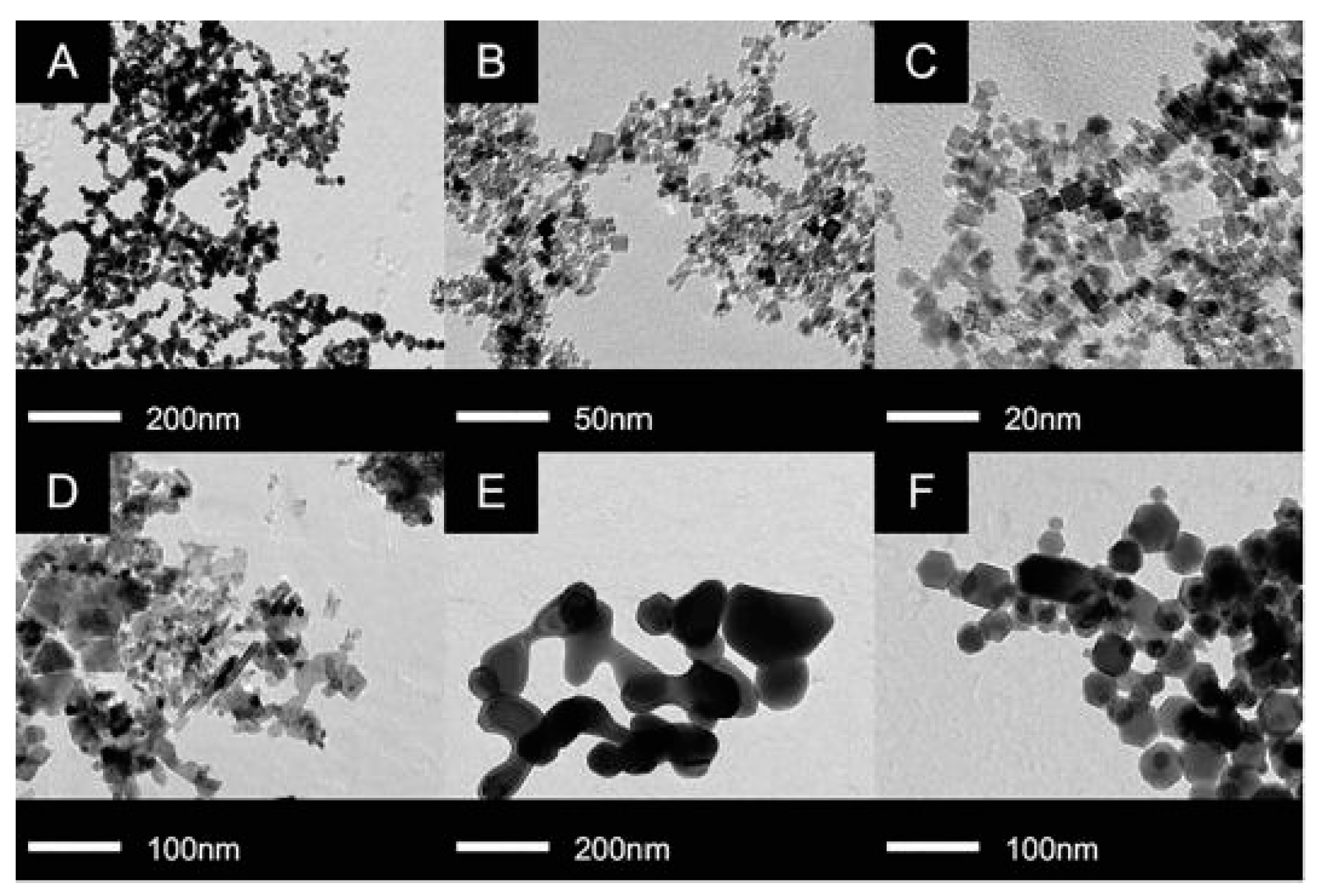 Chemosensors 12 00045 g013