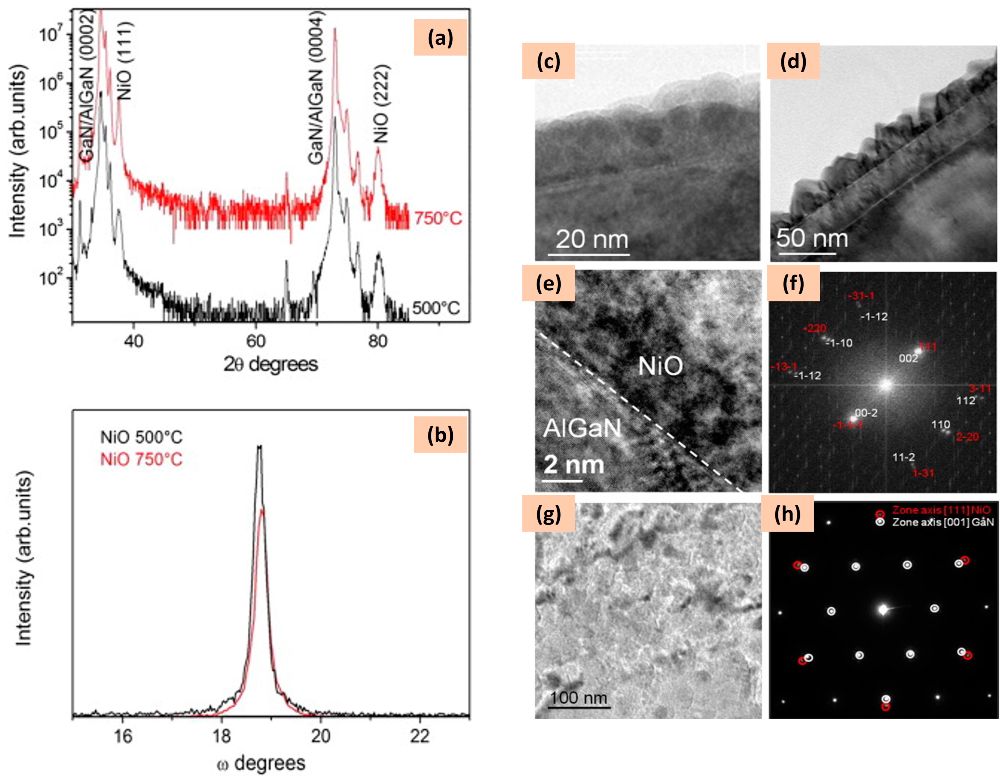 Chemosensors 12 00045 g014
