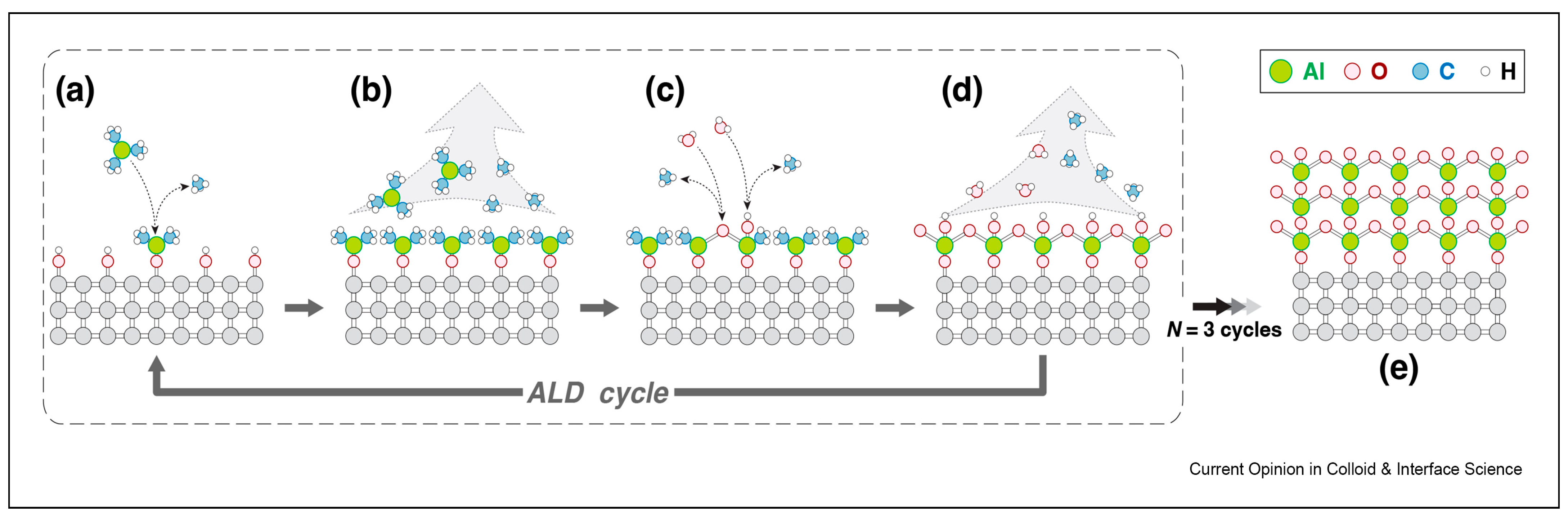 Chemosensors 12 00045 g015