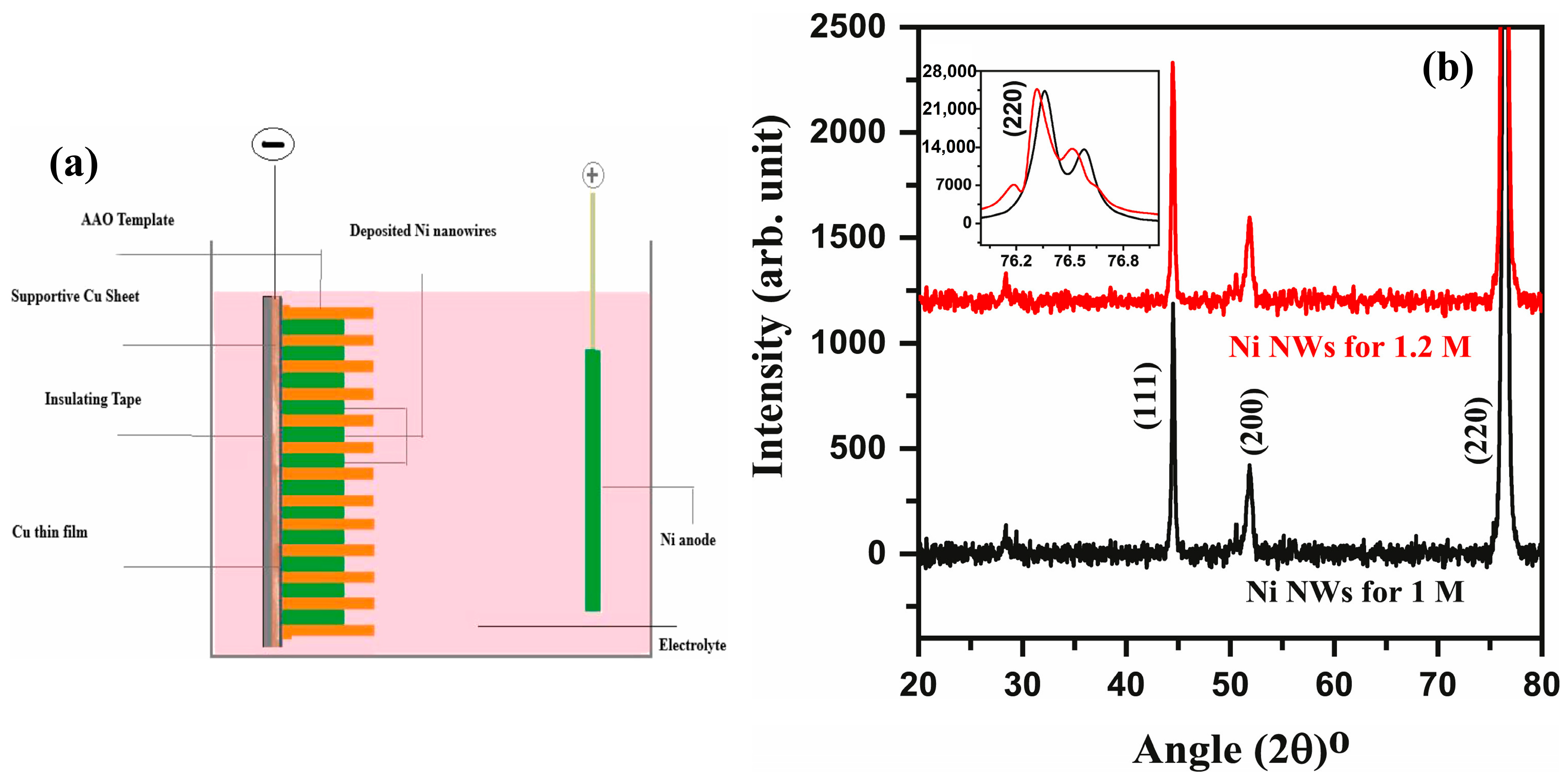 Chemosensors 12 00045 g016