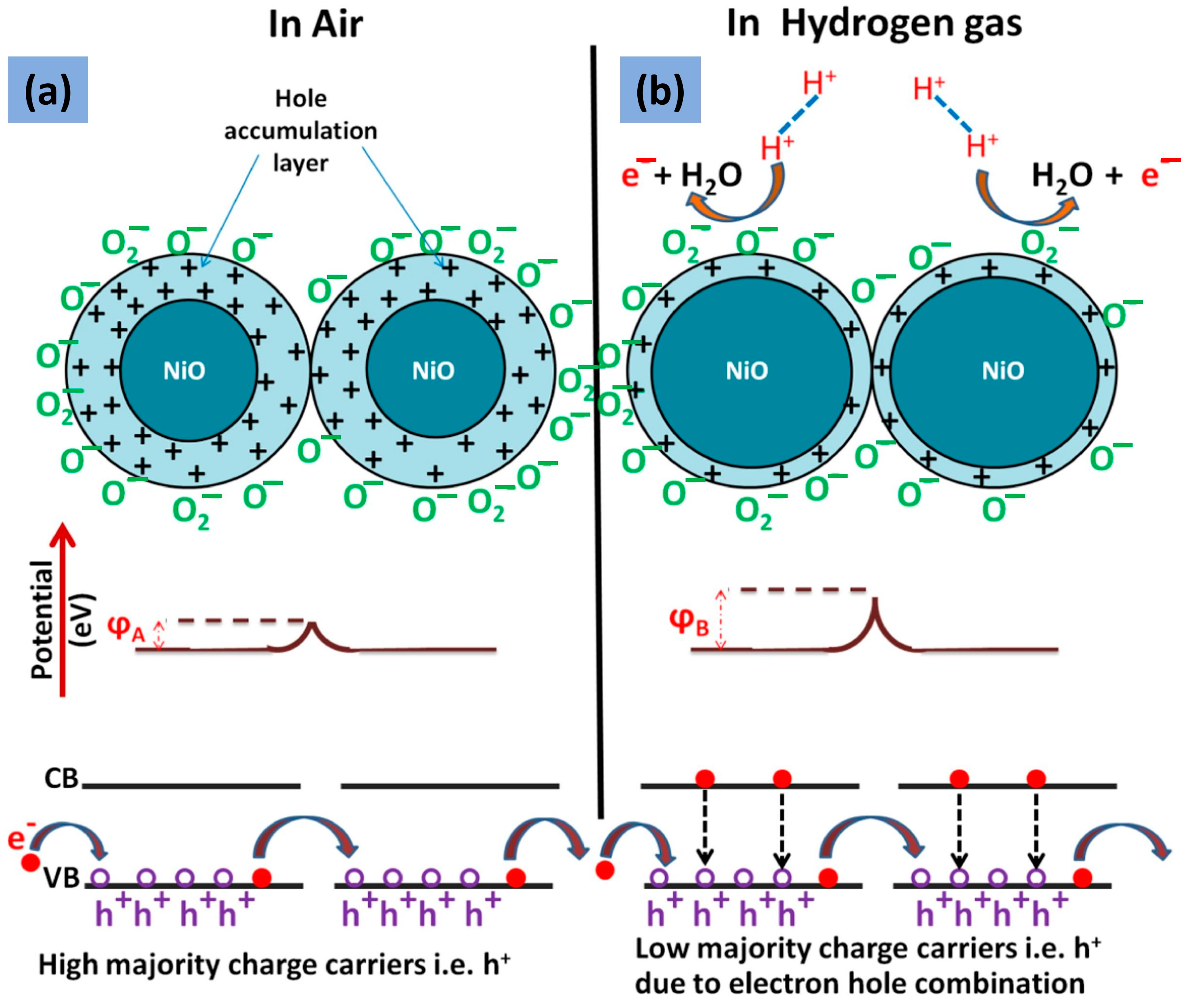 Chemosensors 12 00045 g030