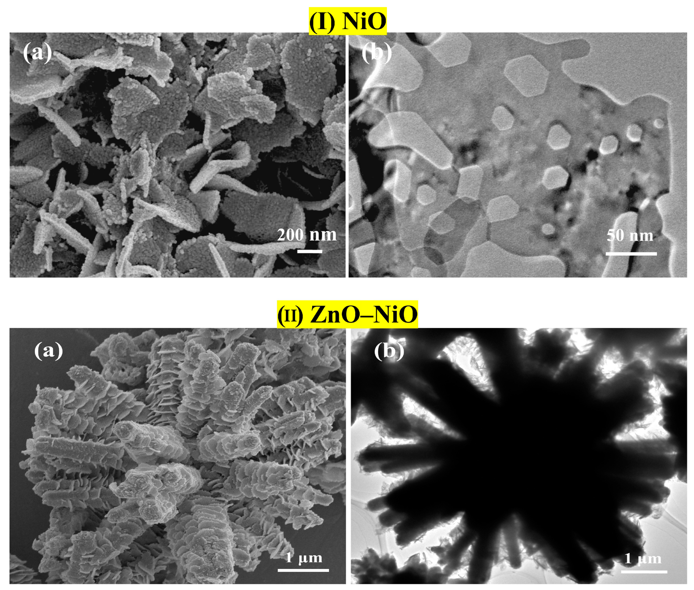 Chemosensors 12 00045 g035