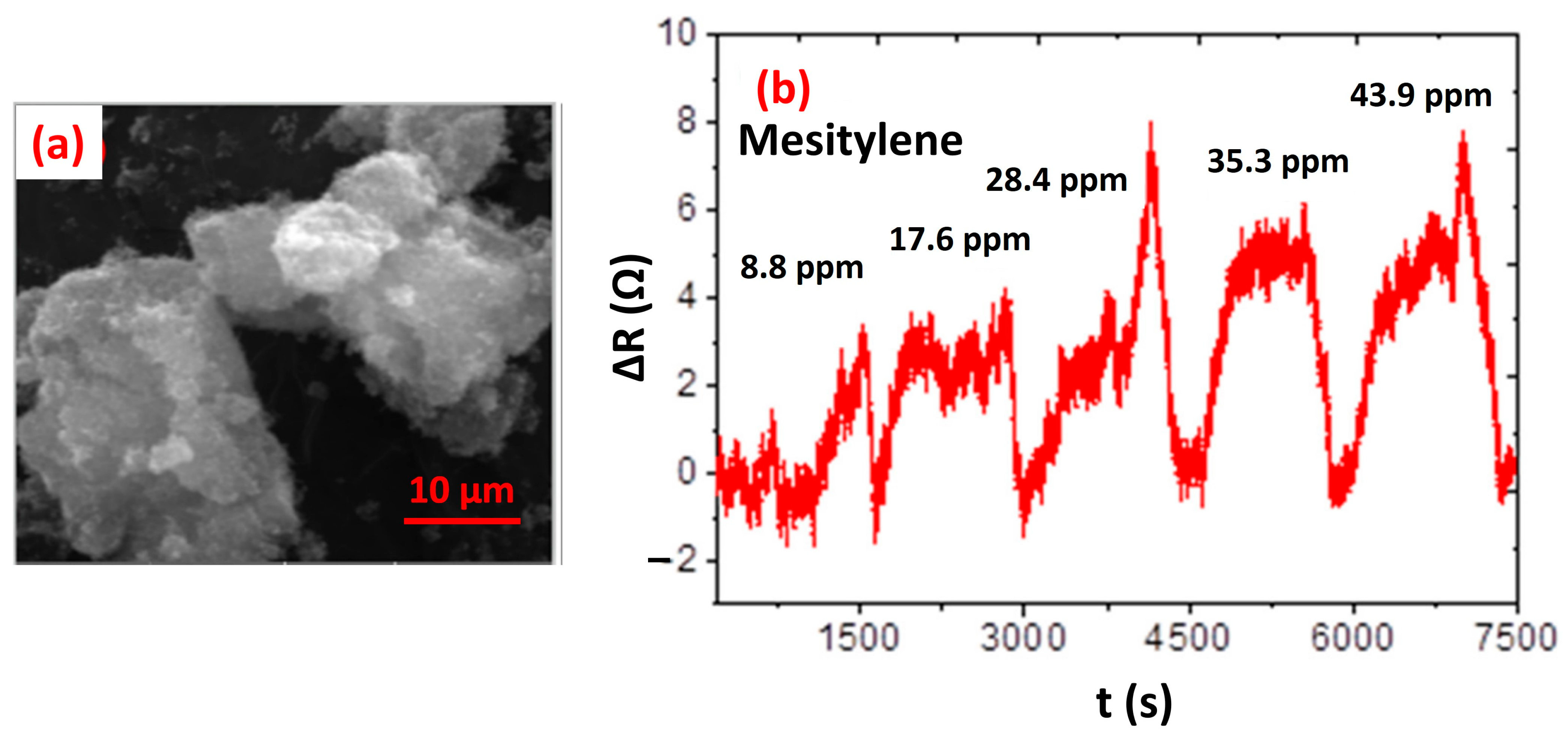 Chemosensors 12 00045 g051