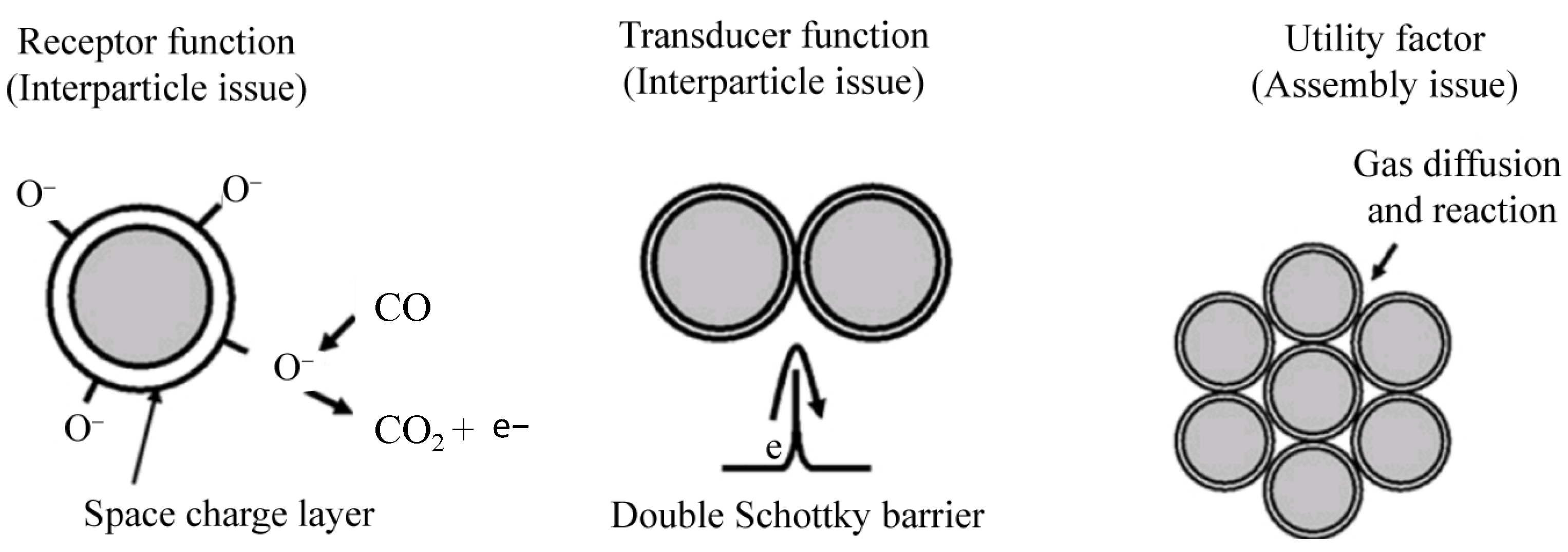 Chemosensors 12 00055 g001