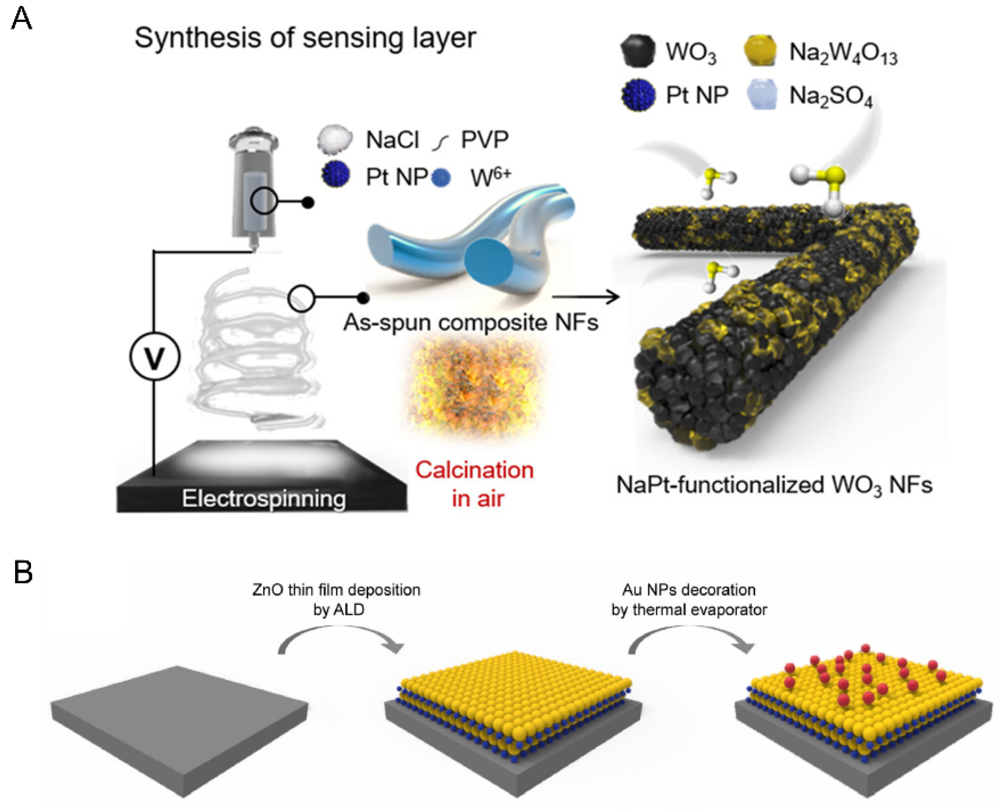 Chemosensors 12 00057 g003
