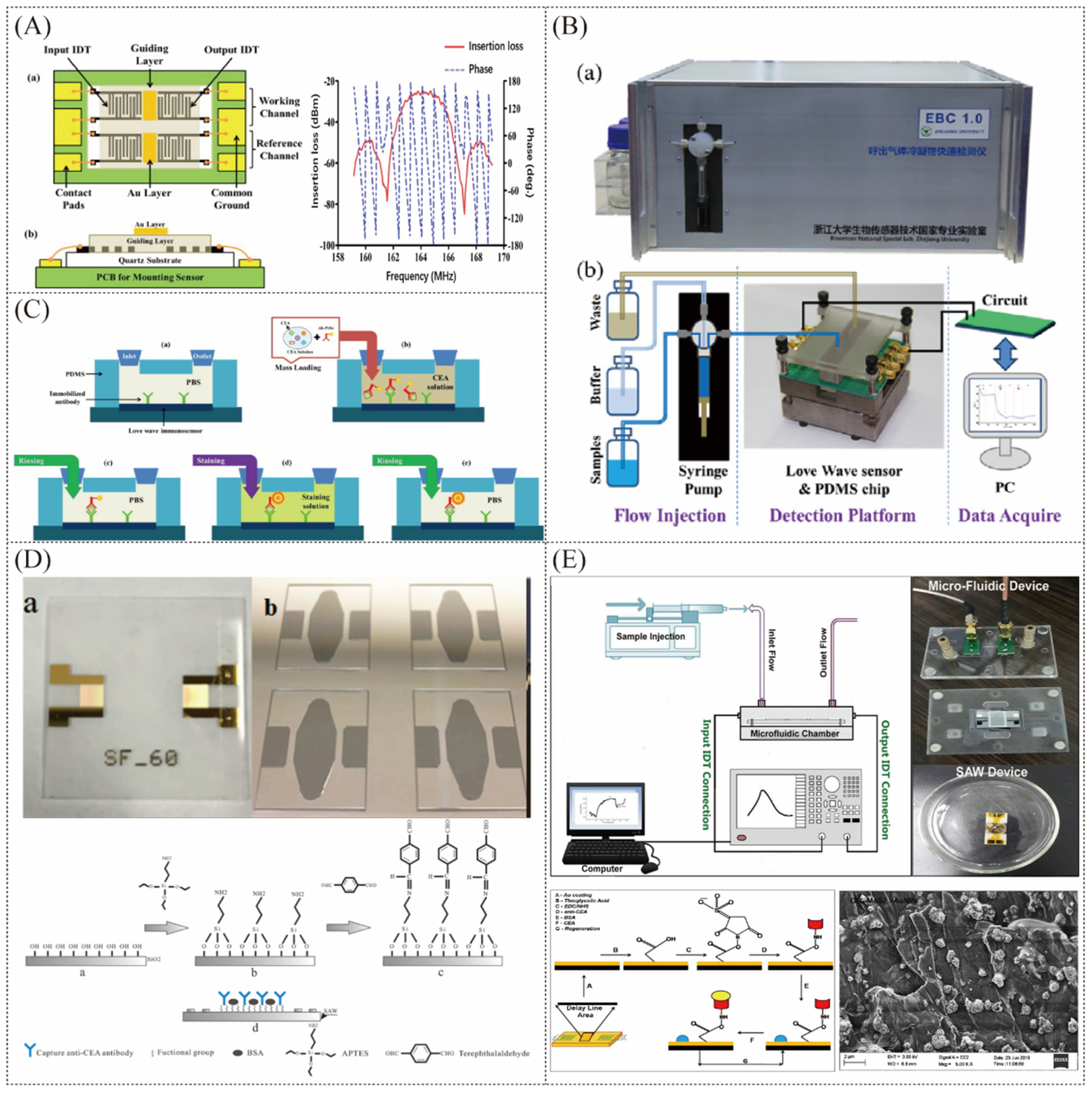 Chemosensors 12 00057 g006