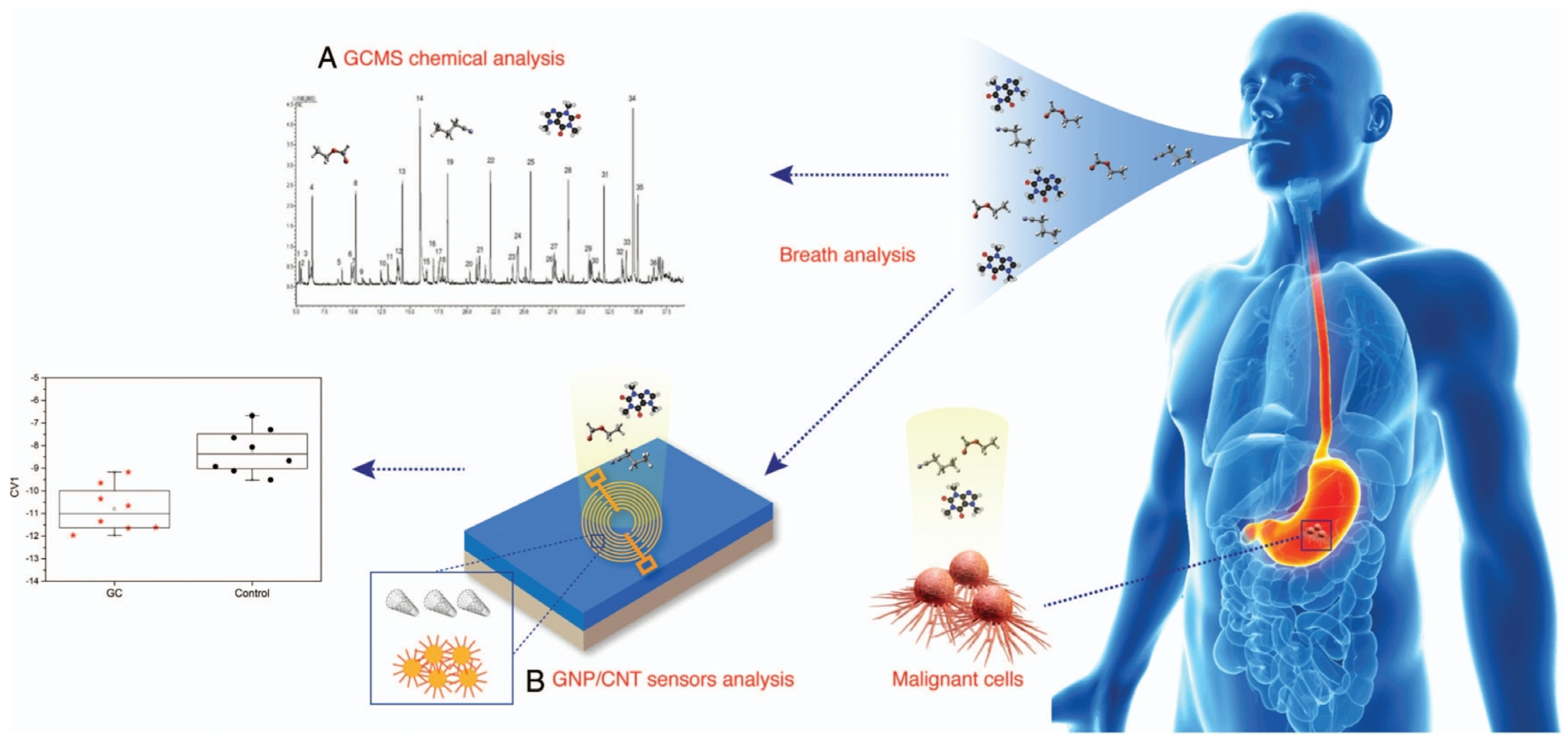 Chemosensors 12 00057 g007