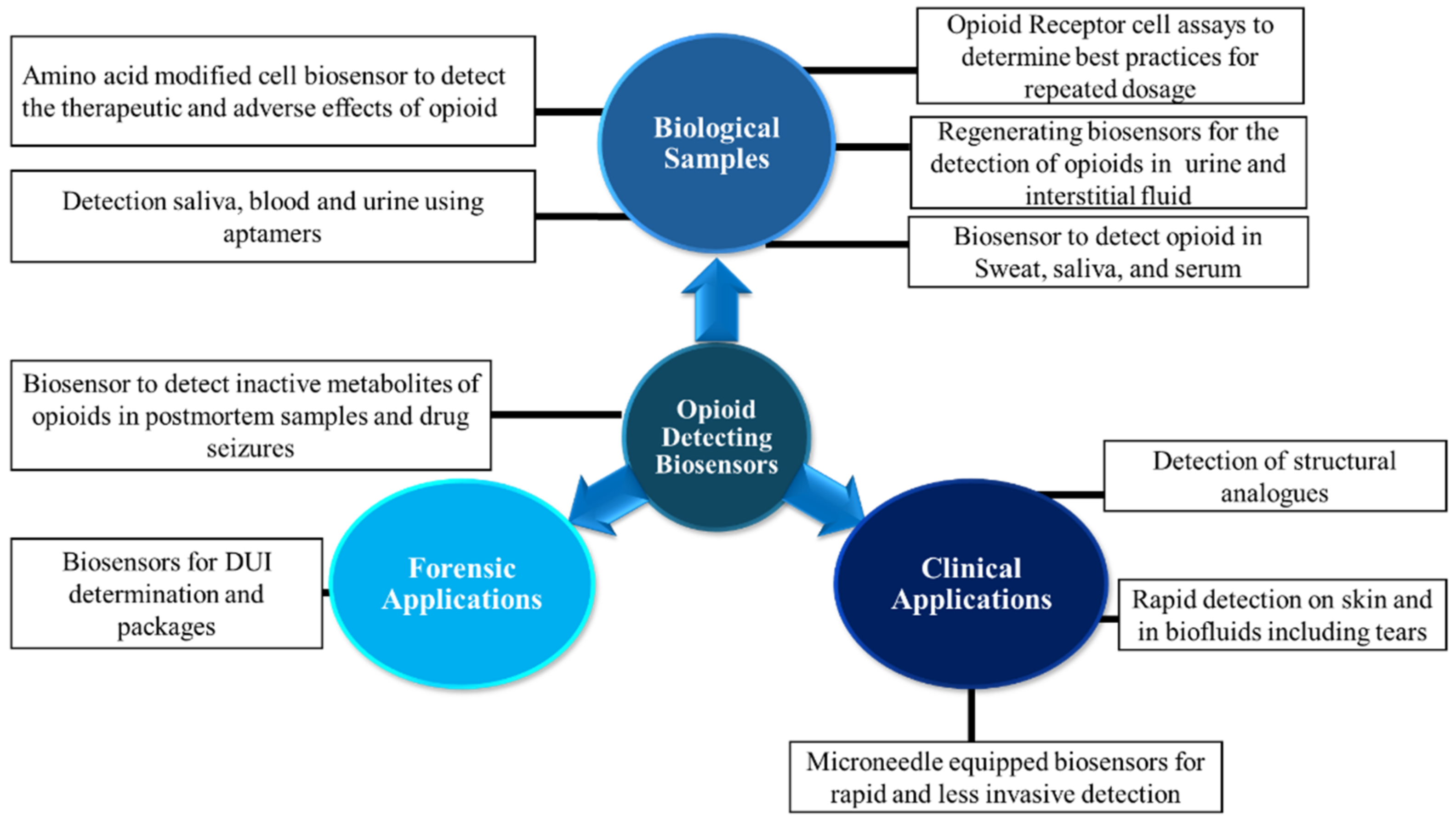 Chemosensors 12 00058 g004