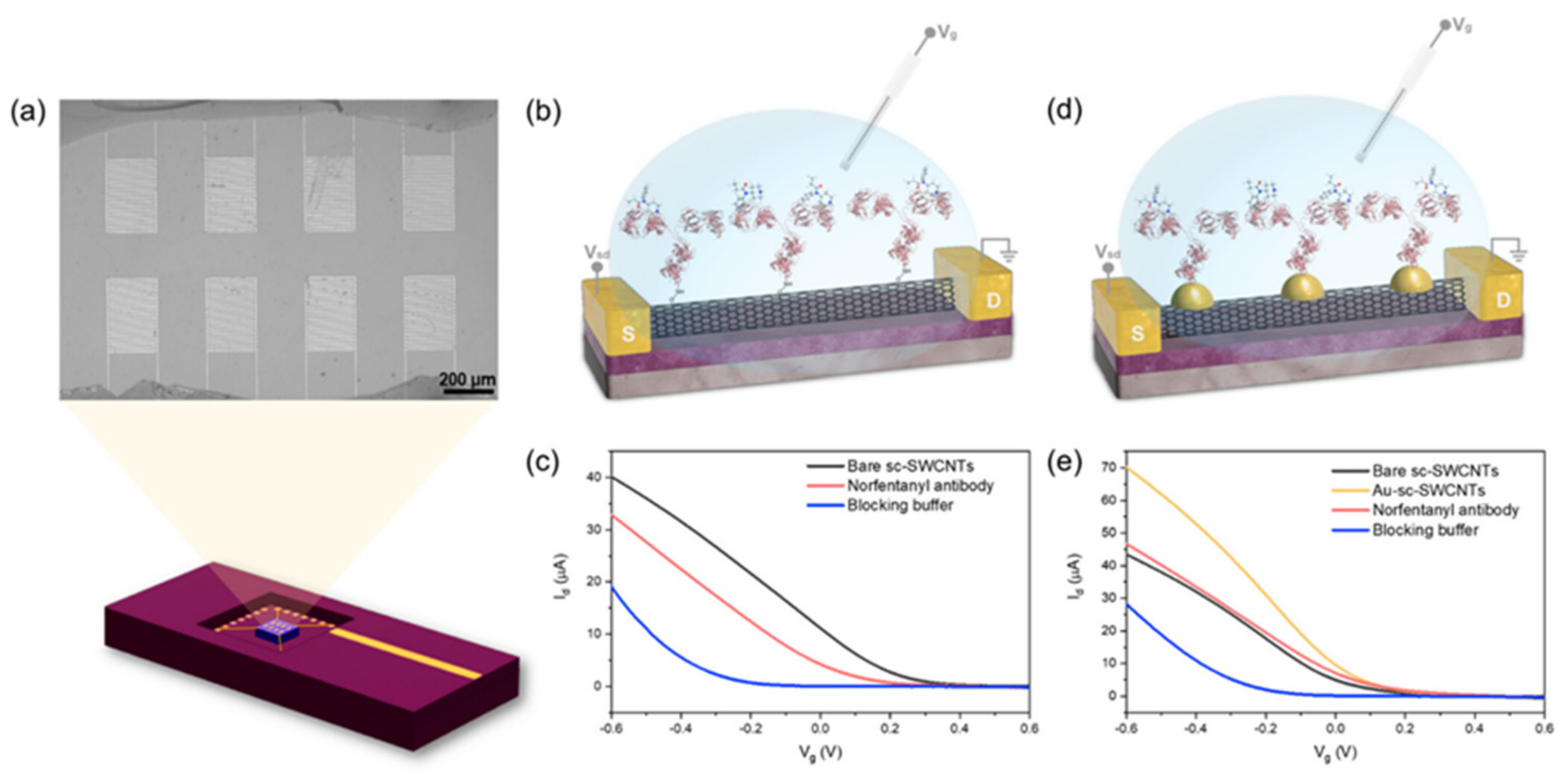 Chemosensors 12 00058 g005