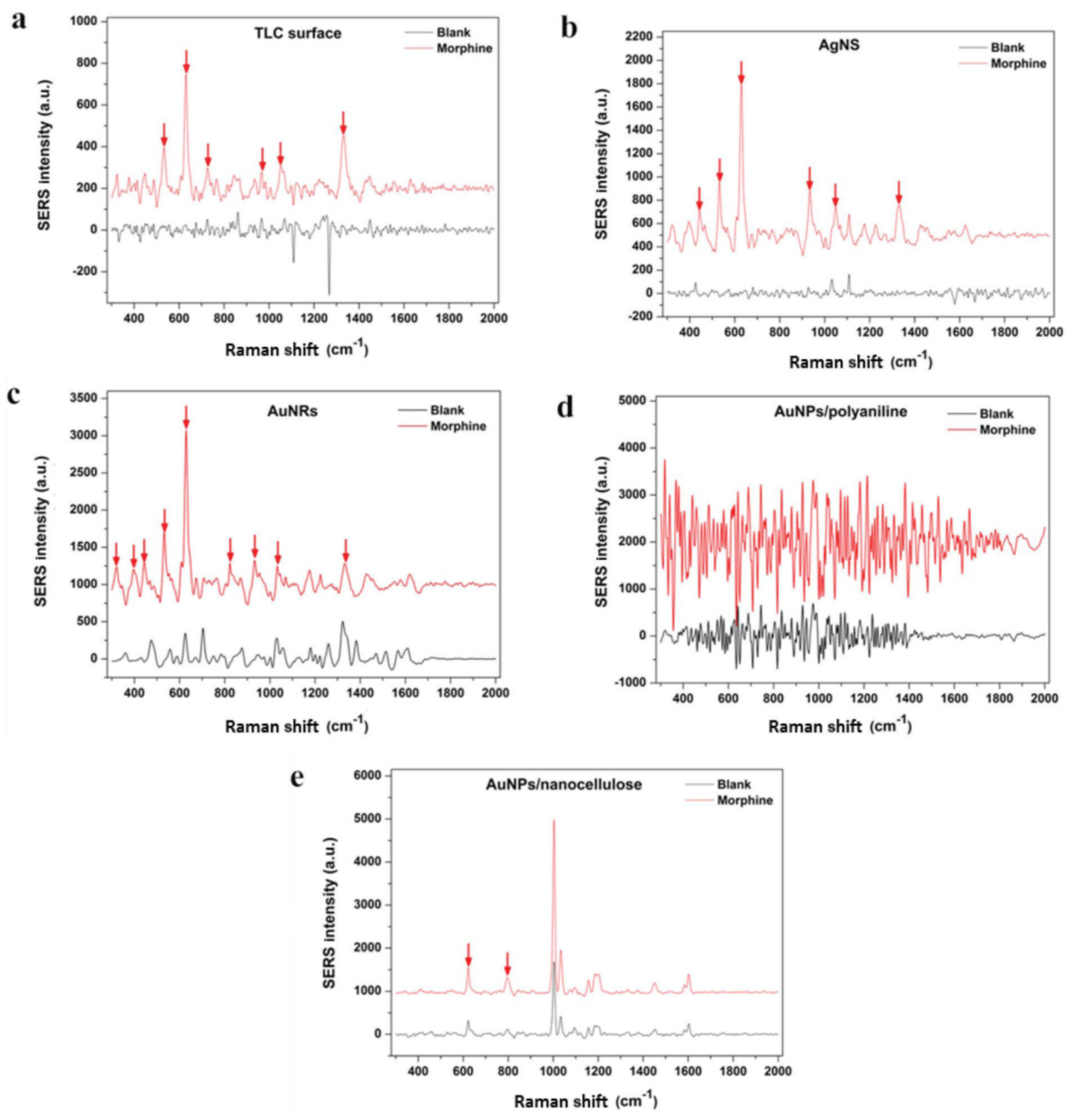 Chemosensors 12 00058 g016