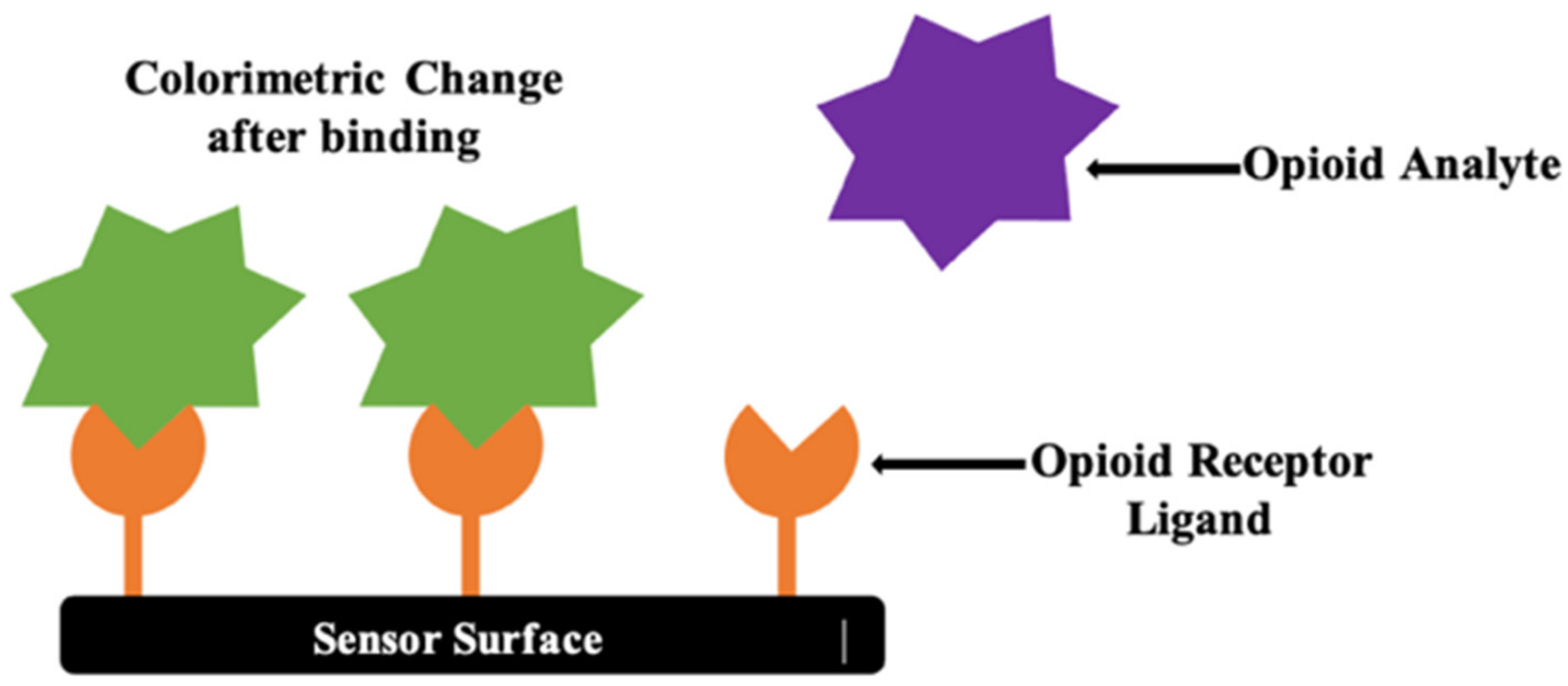 Chemosensors 12 00058 g022