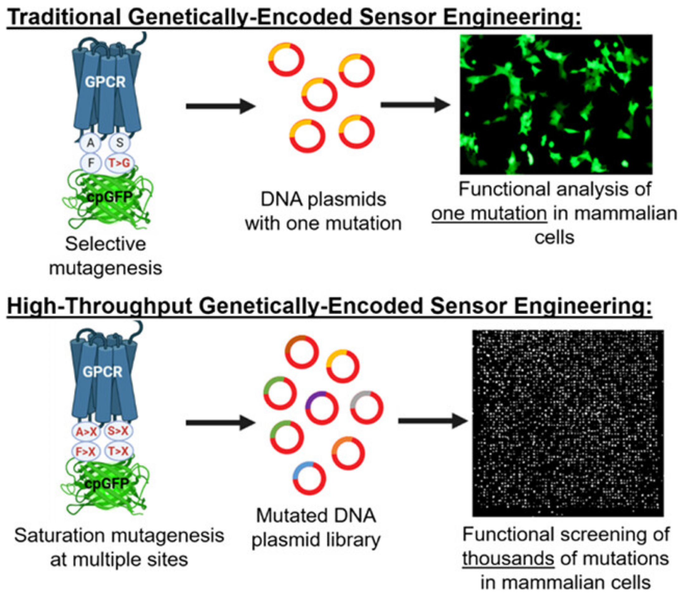 Chemosensors 12 00058 g026