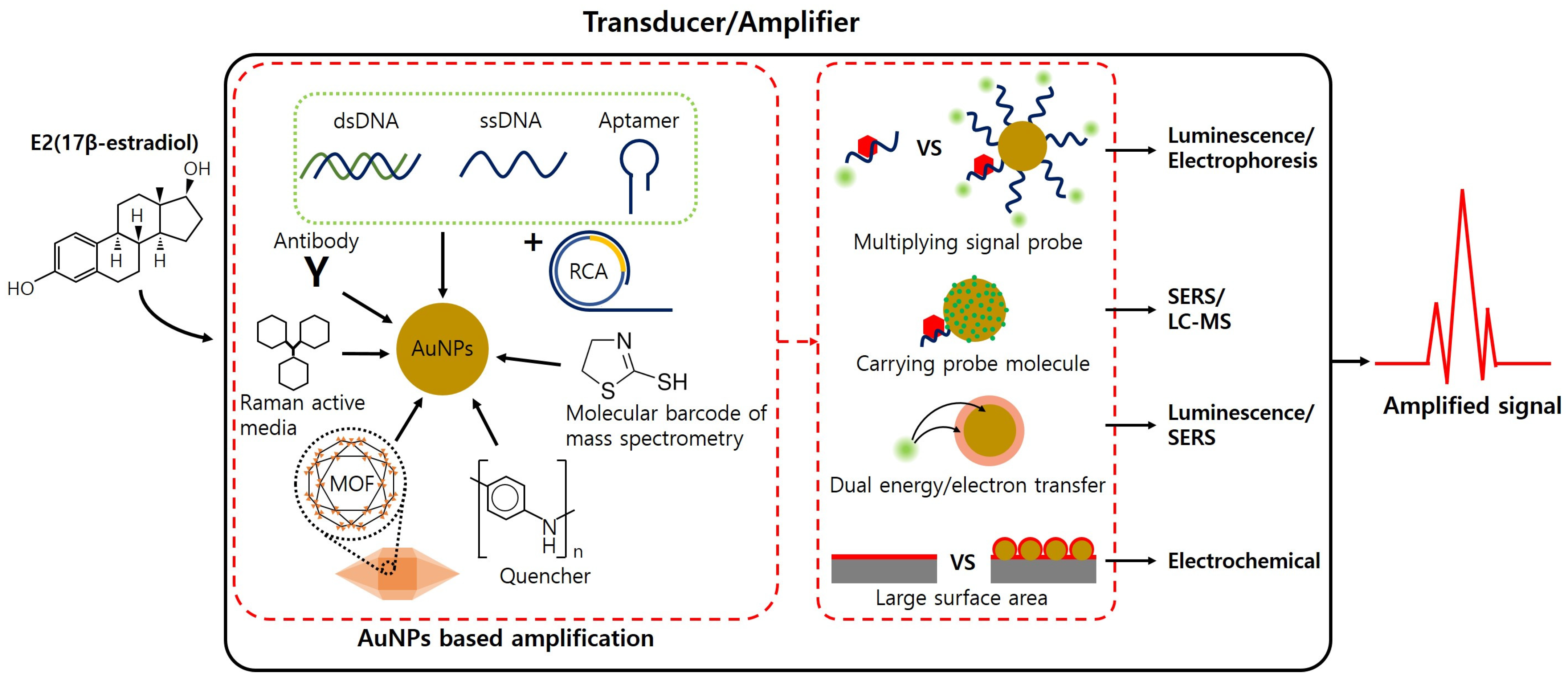 Chemosensors 12 00061 g001