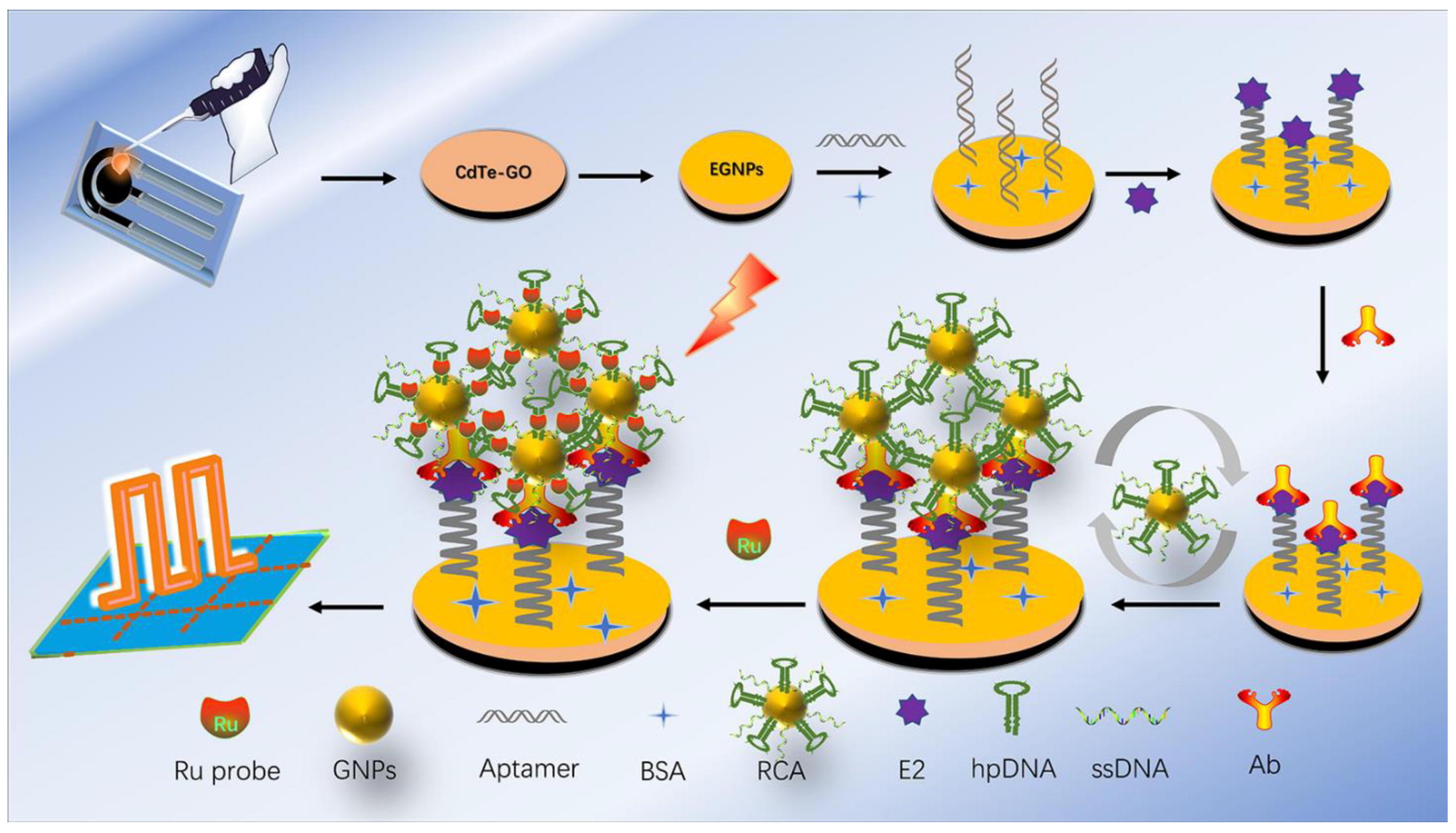Chemosensors 12 00061 g011