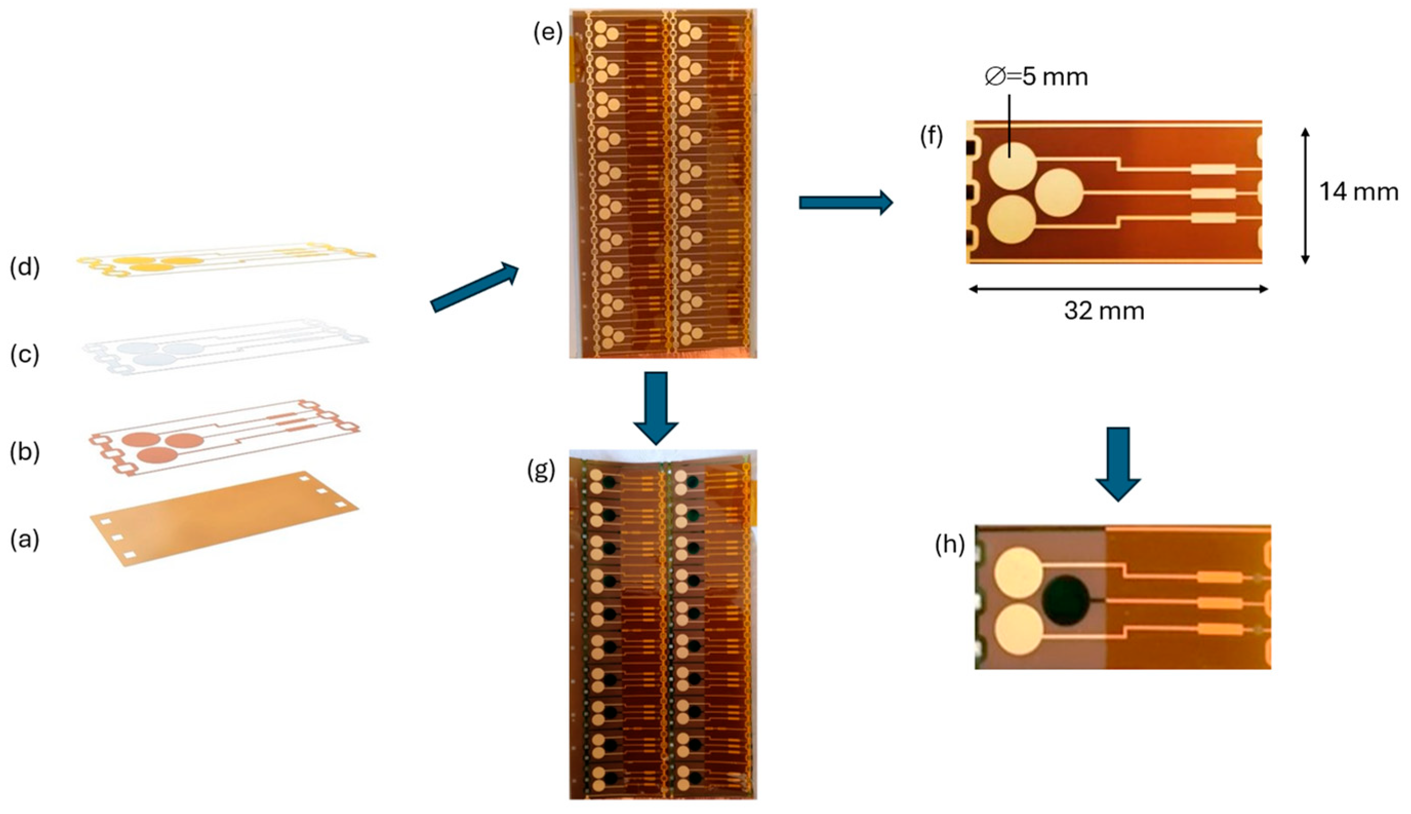 Chemosensors | Free Full-Text | Polyaniline-Based Flexible Sensor for ...