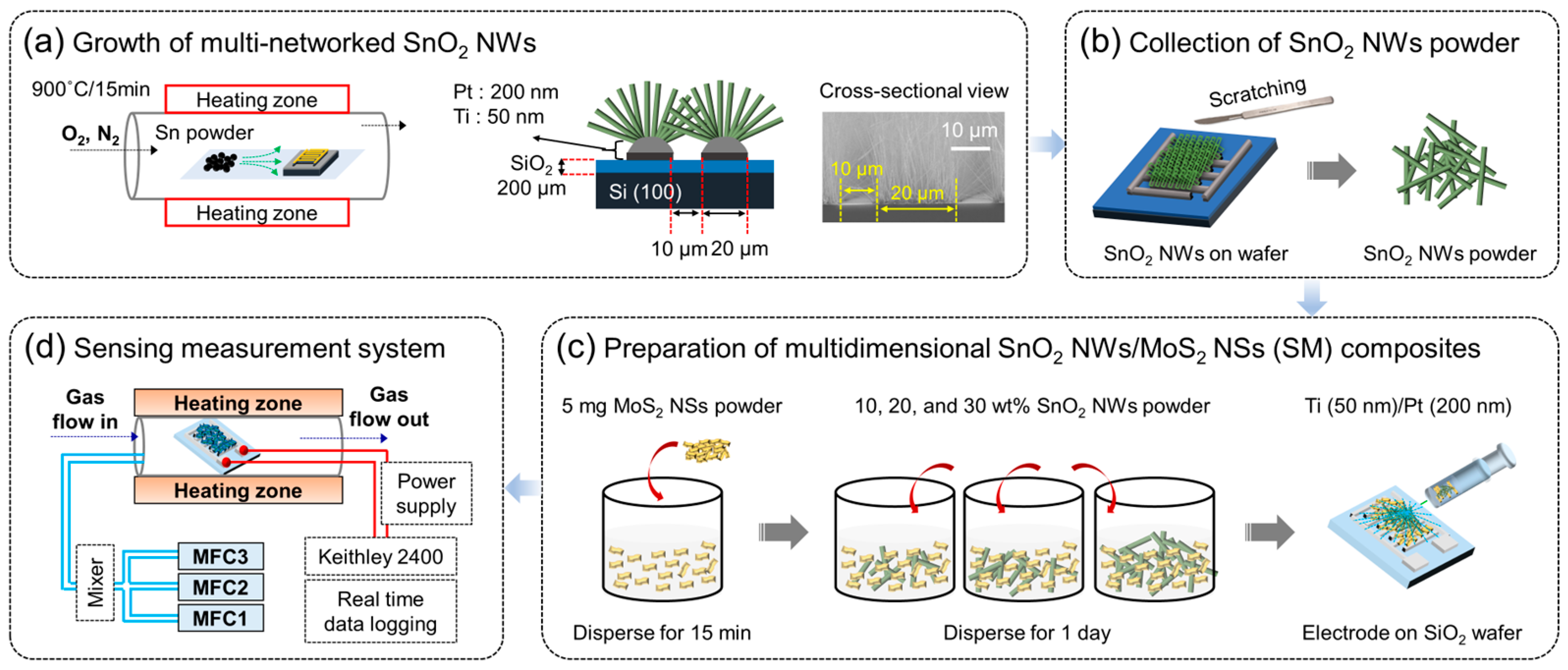 Chemosensors 12 00107 g001