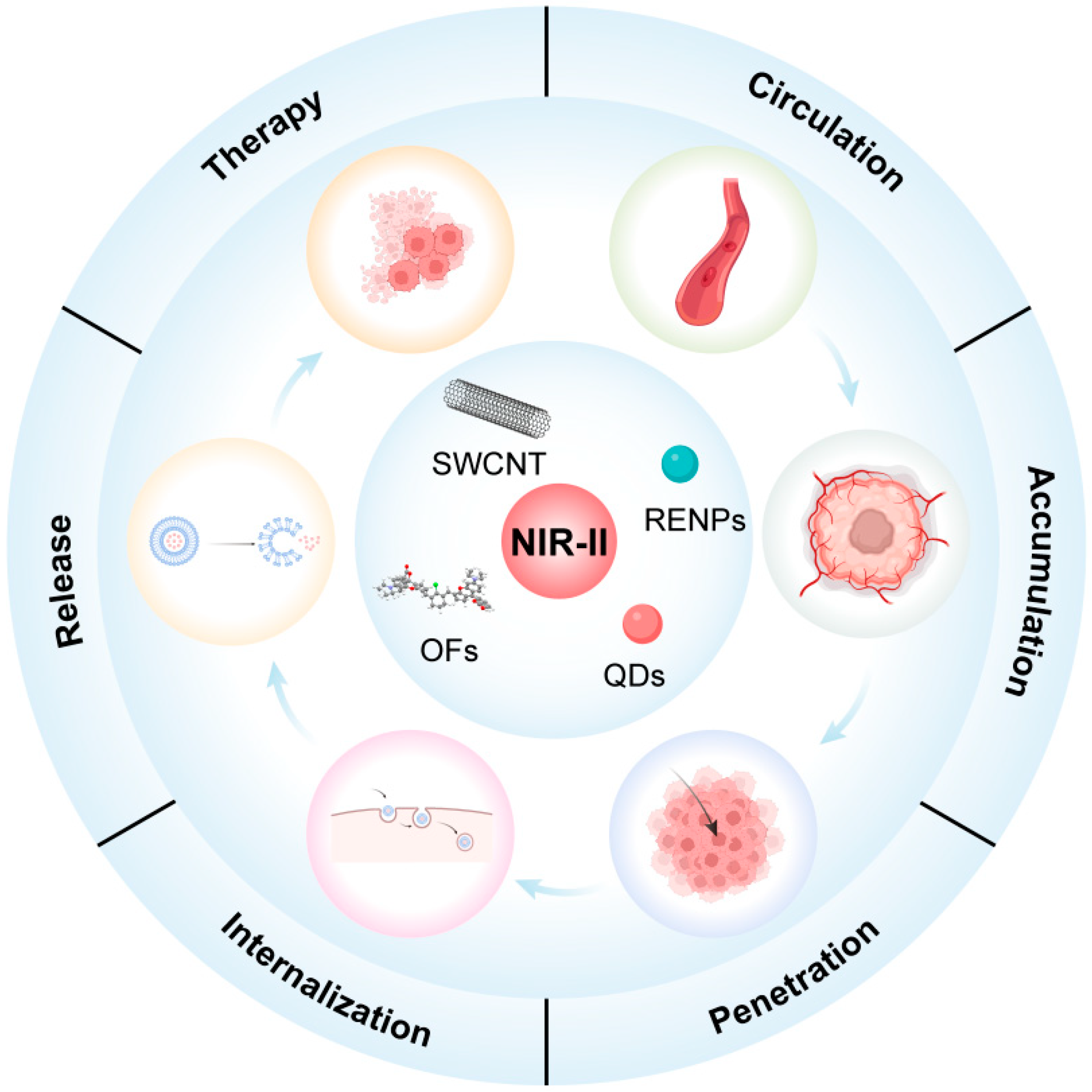 Chemosensors 12 00113 g002