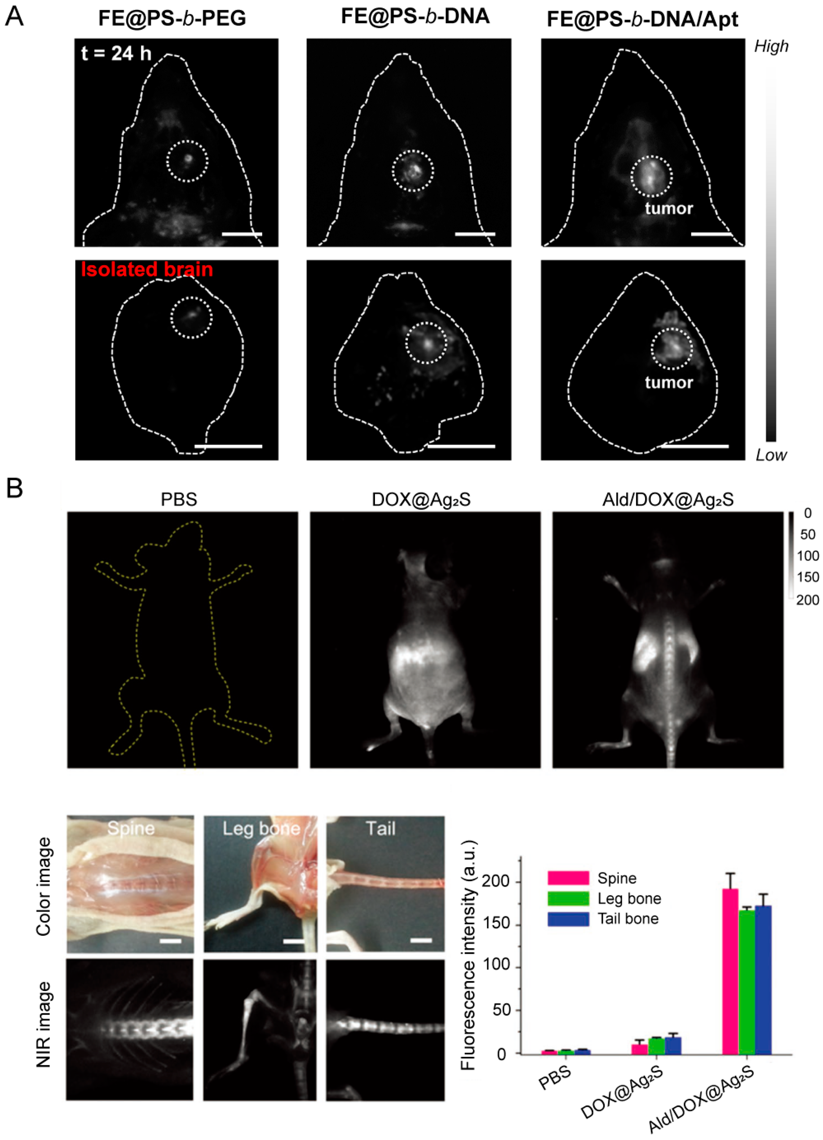 Chemosensors 12 00113 g010