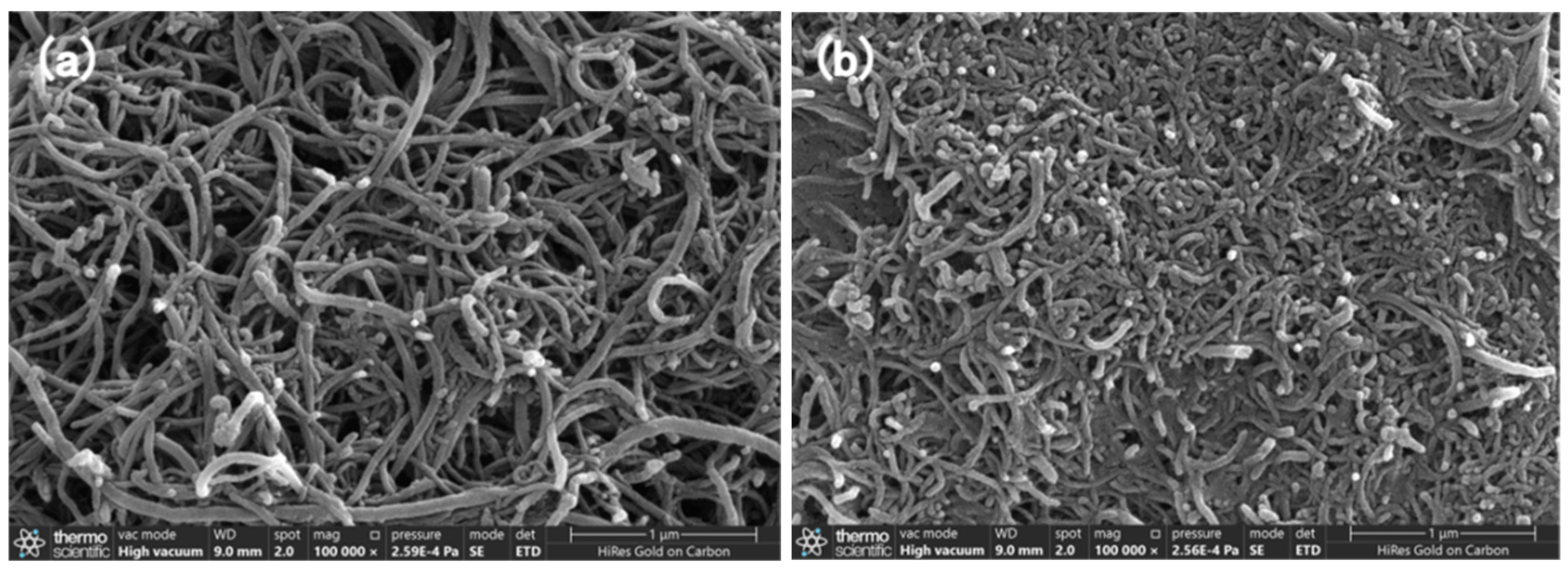 Chemosensors 12 00128 g001