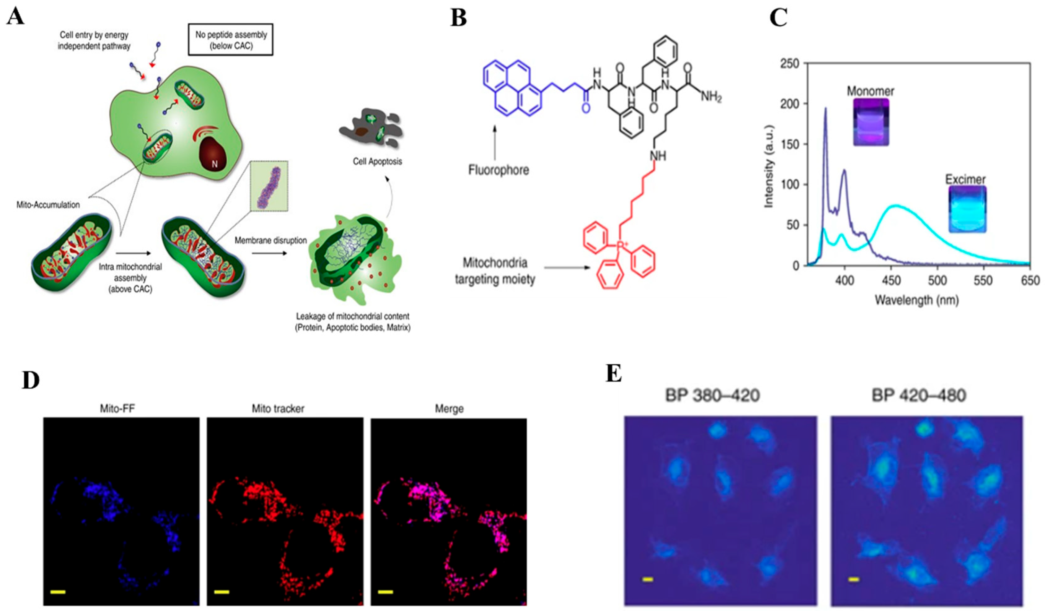 Chemosensors 12 00138 g001