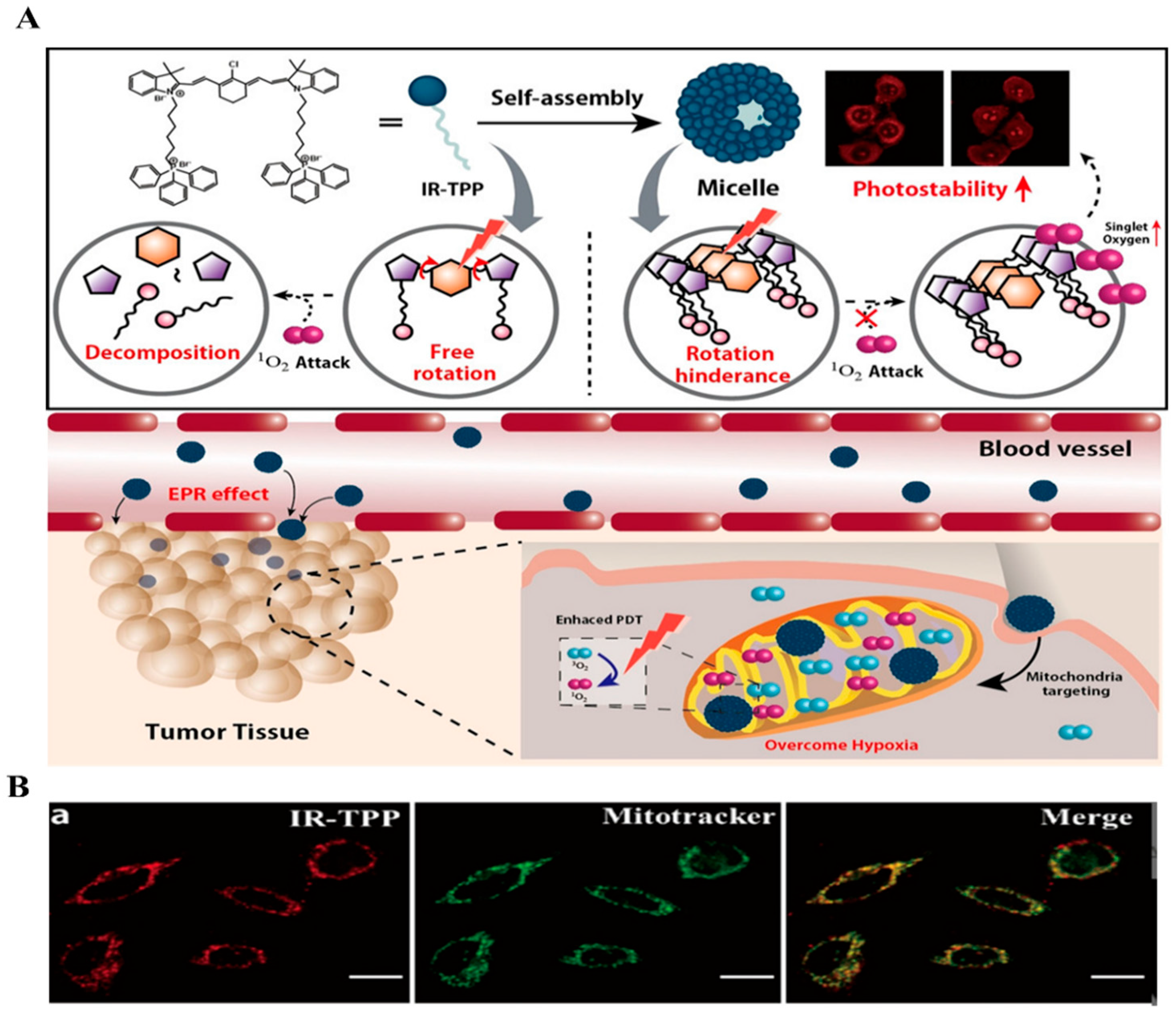 Chemosensors 12 00138 g004