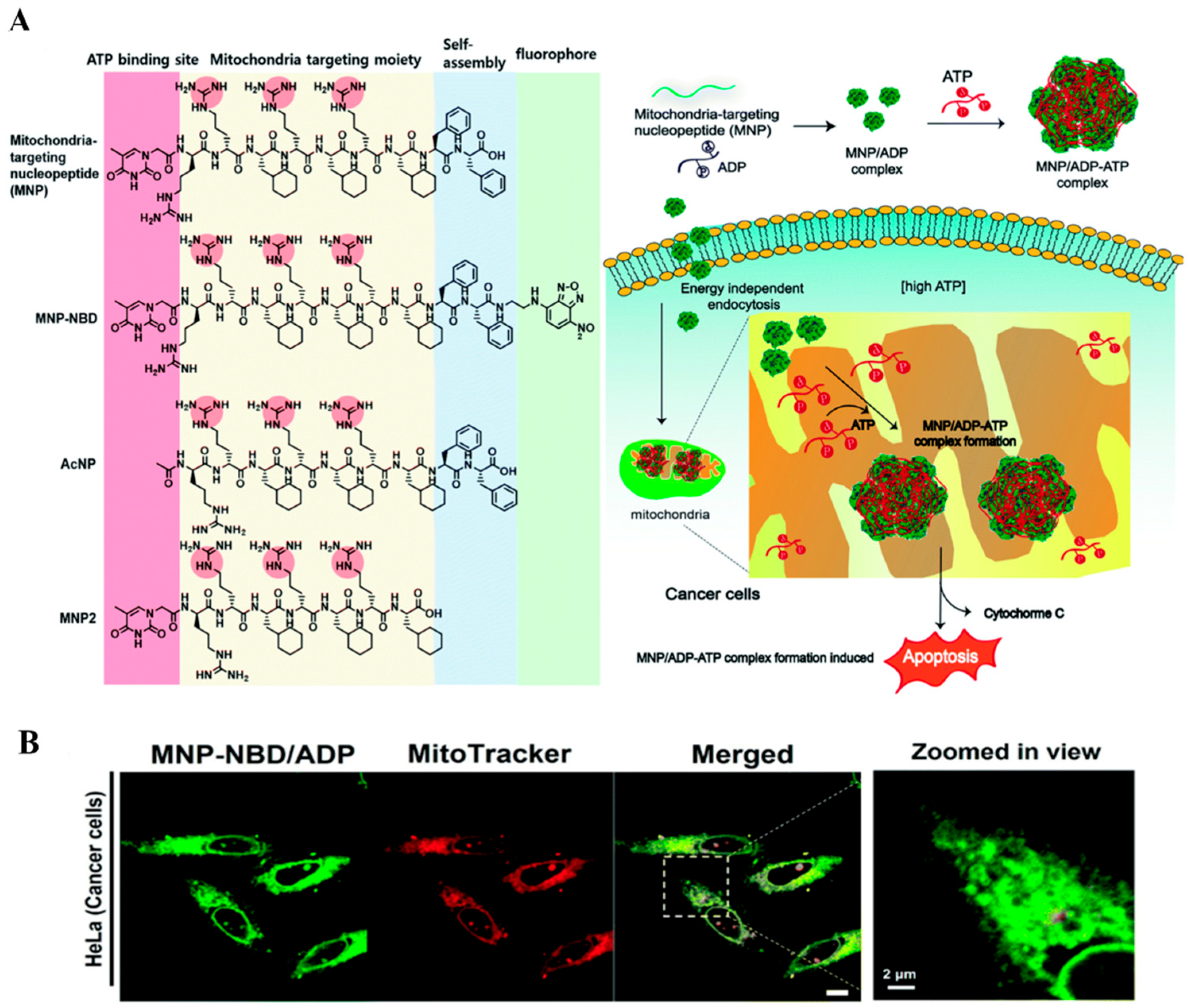 Chemosensors 12 00138 g006