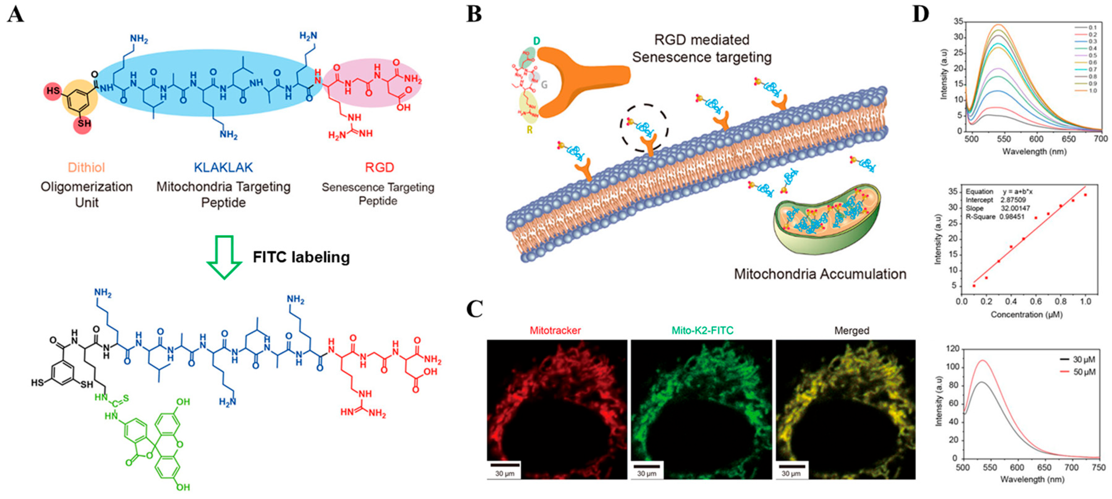 Chemosensors 12 00138 g007