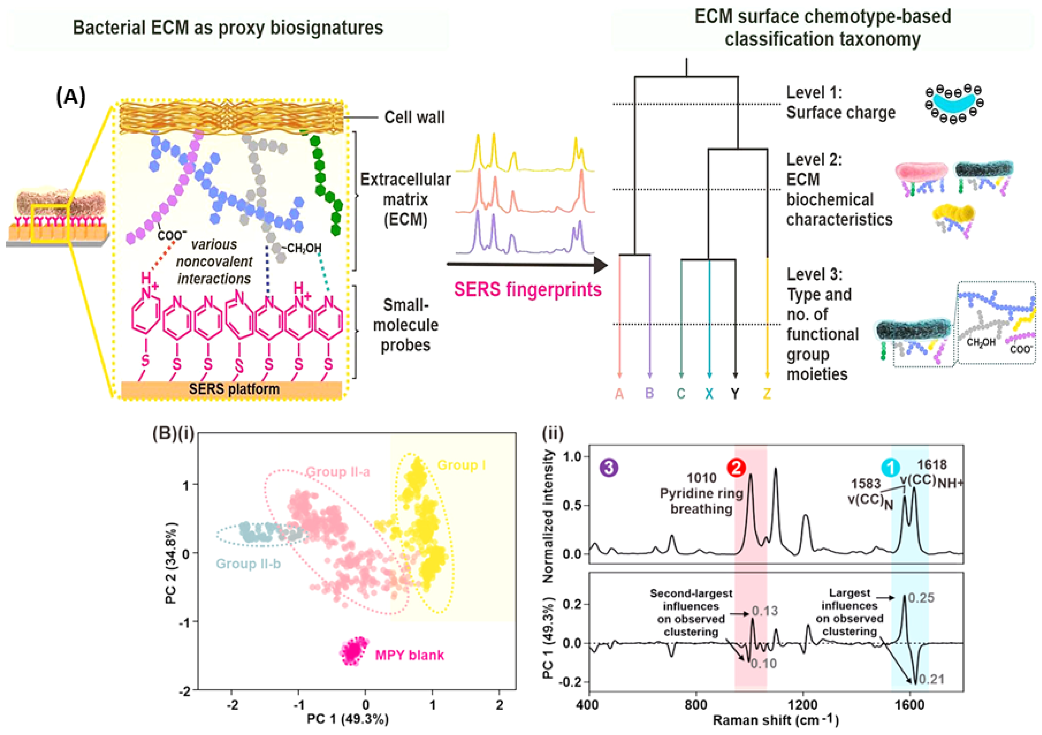 Chemosensors 12 00140 g006