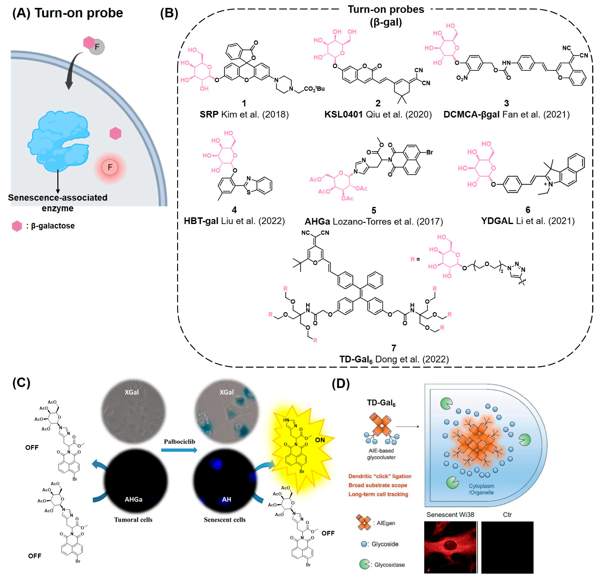 Chemosensors 12 00141 g003