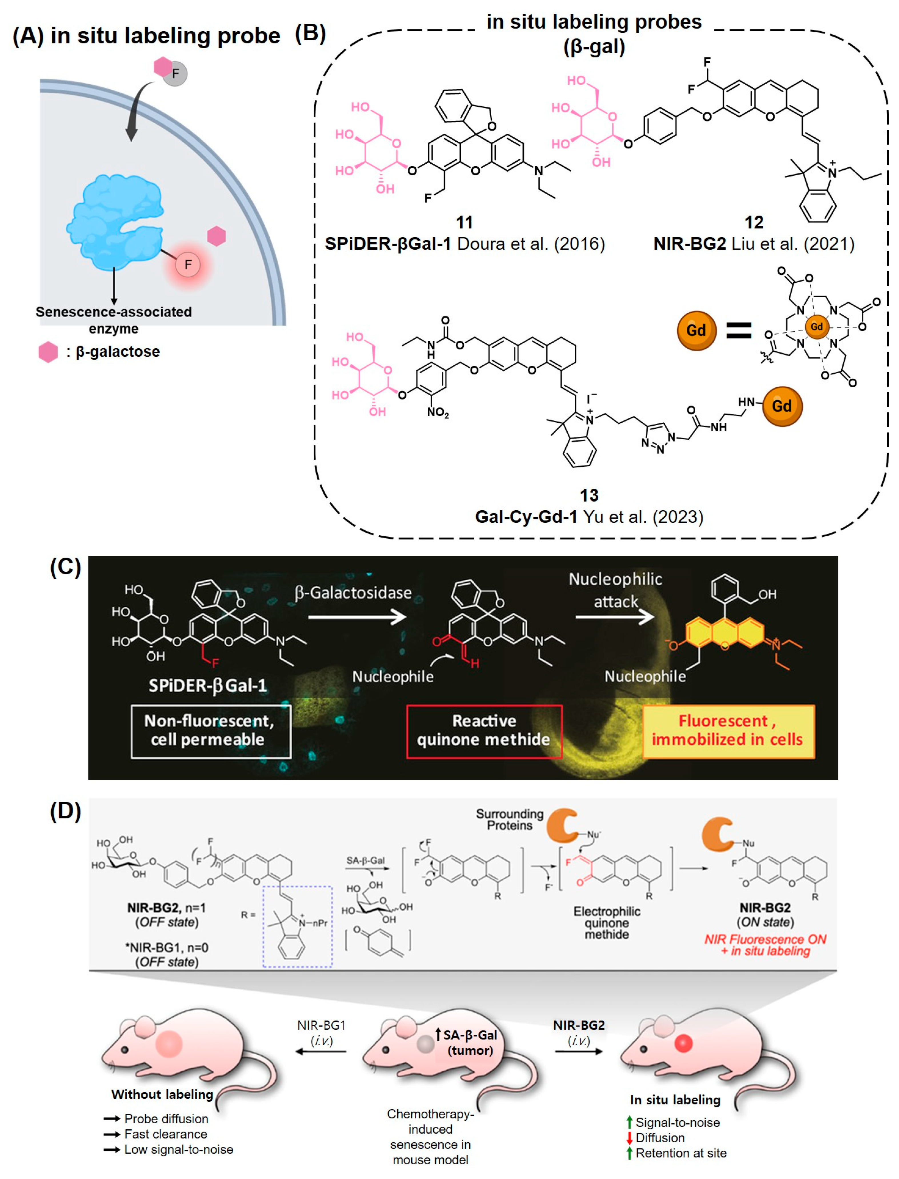 Chemosensors 12 00141 g005