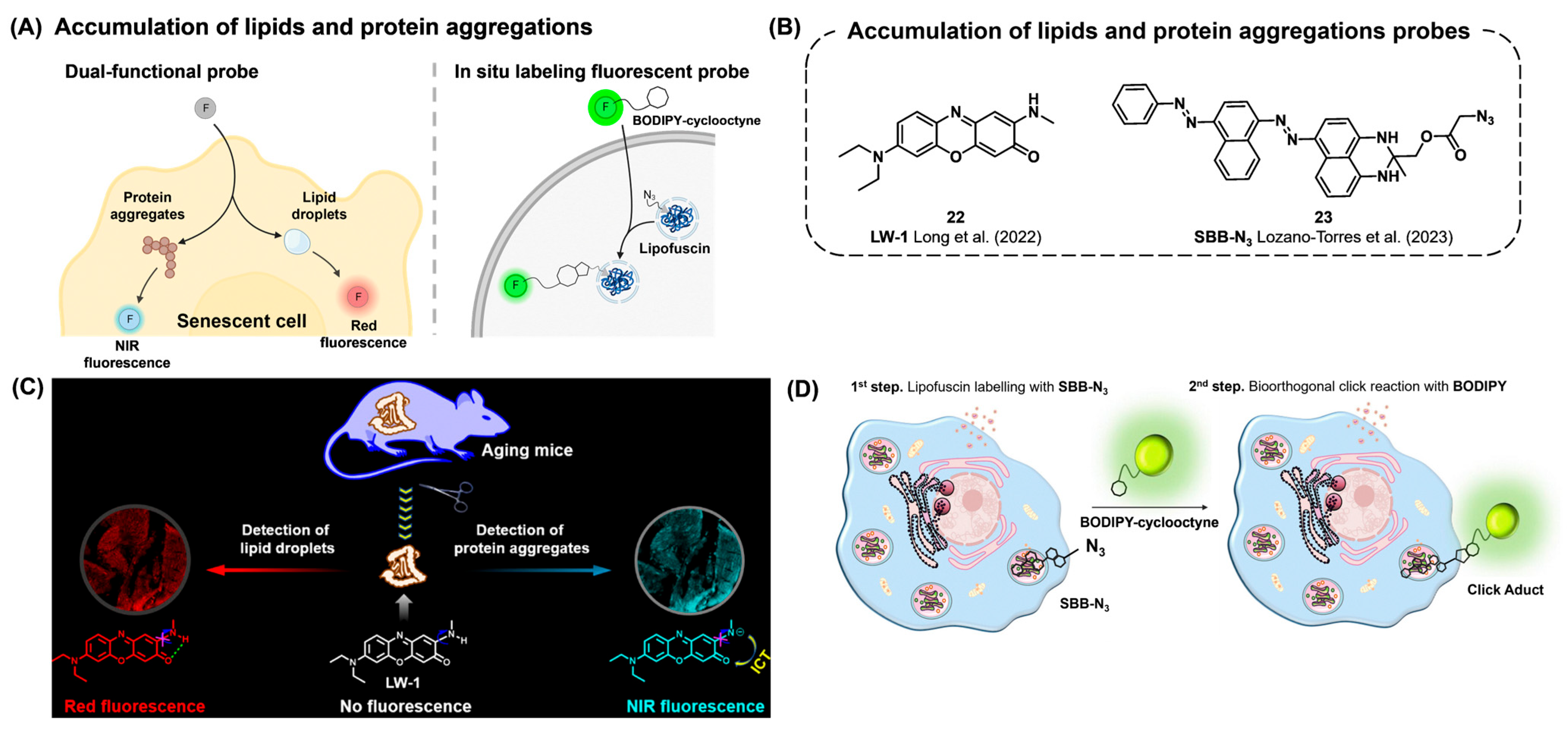 Chemosensors 12 00141 g009
