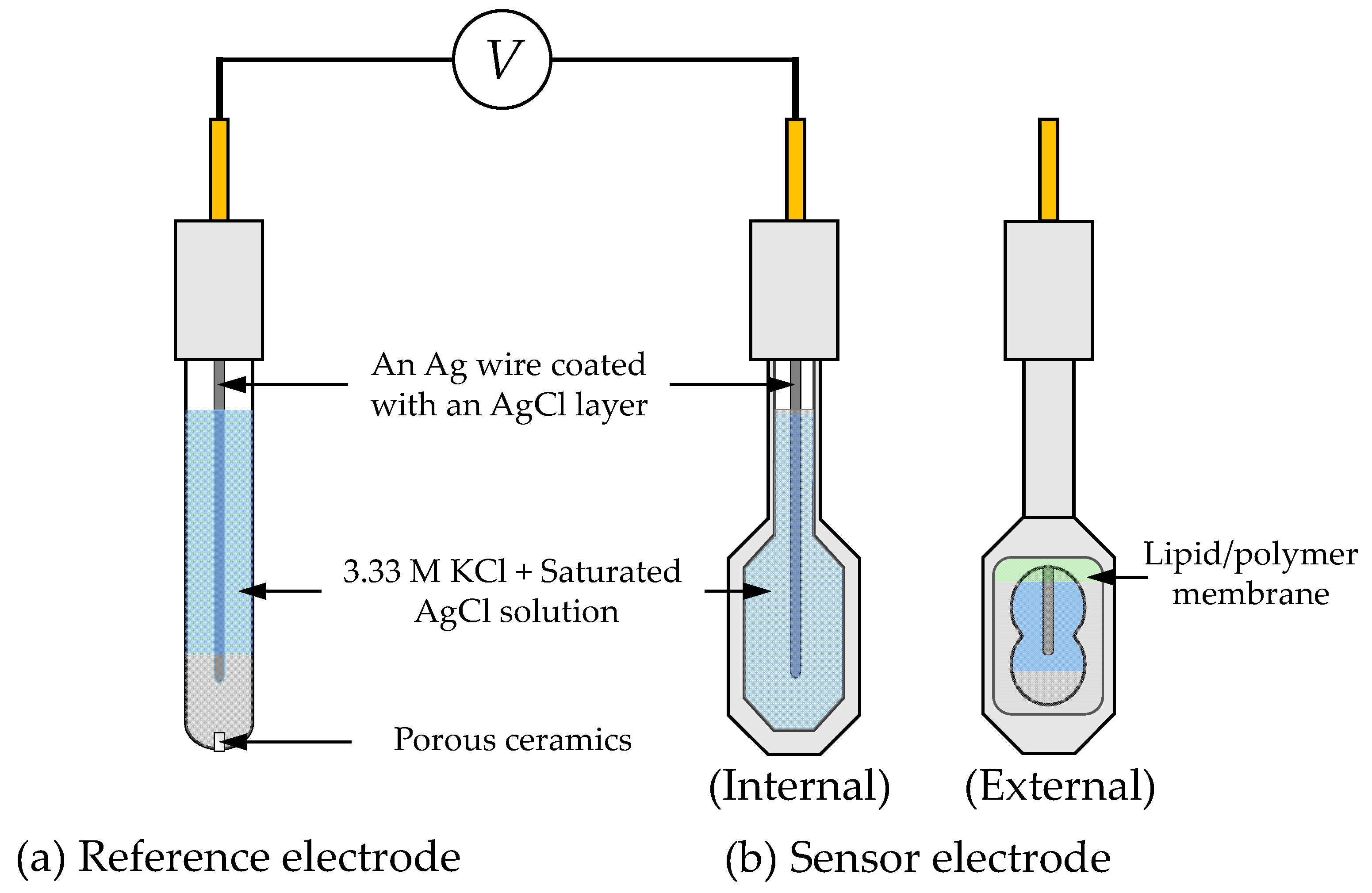 Chemosensors 12 00146 g002