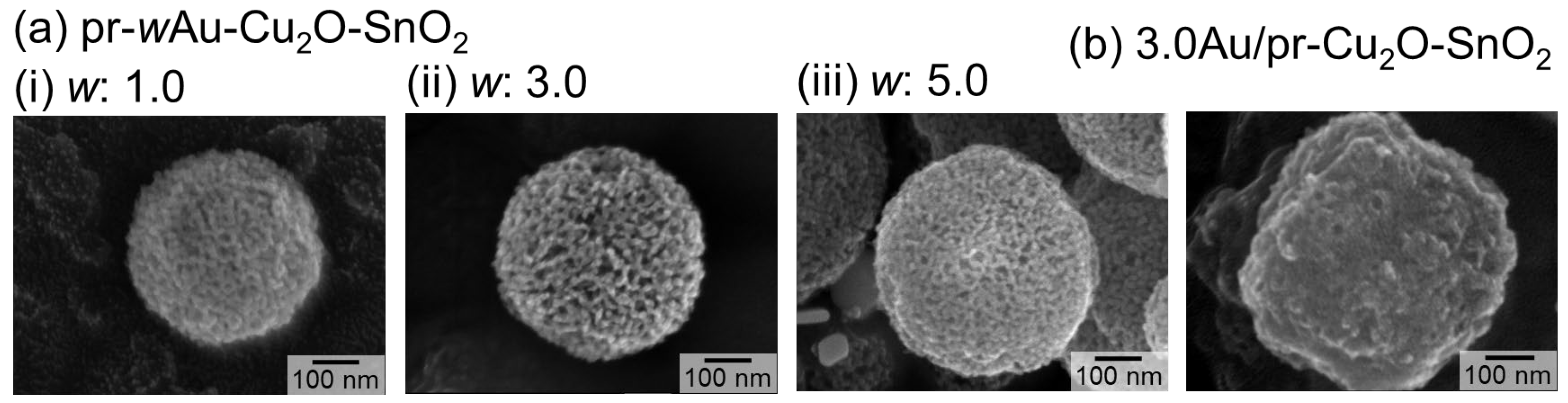 Chemosensors 12 00153 g001