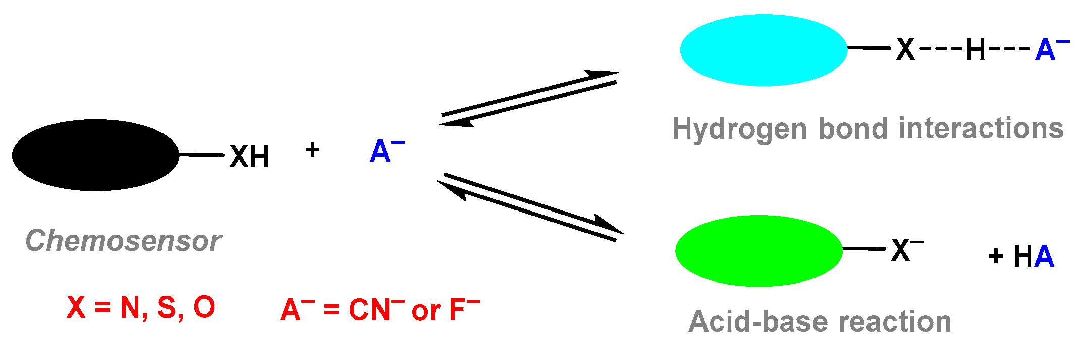 Chemosensors 12 00156 sch044