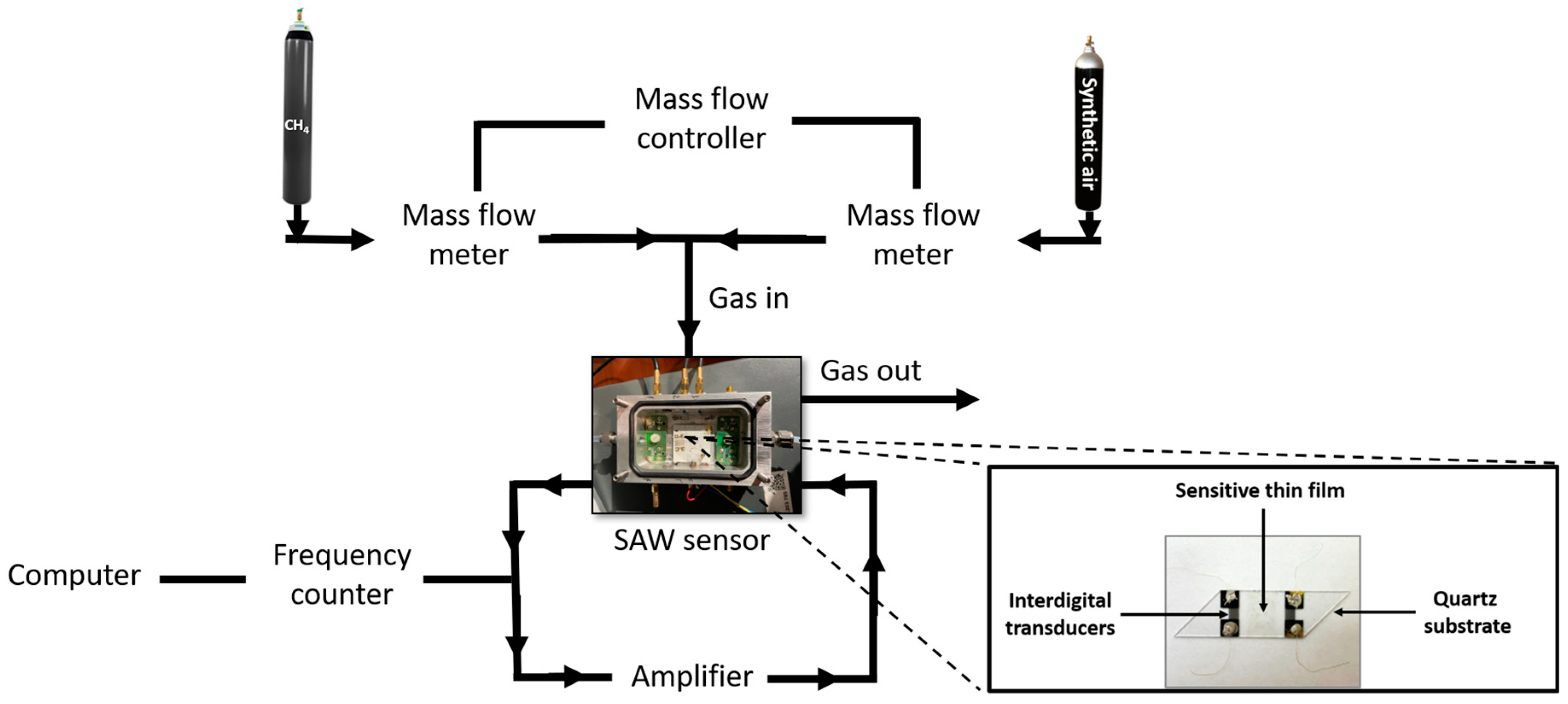 Chemosensors 12 00160 g002