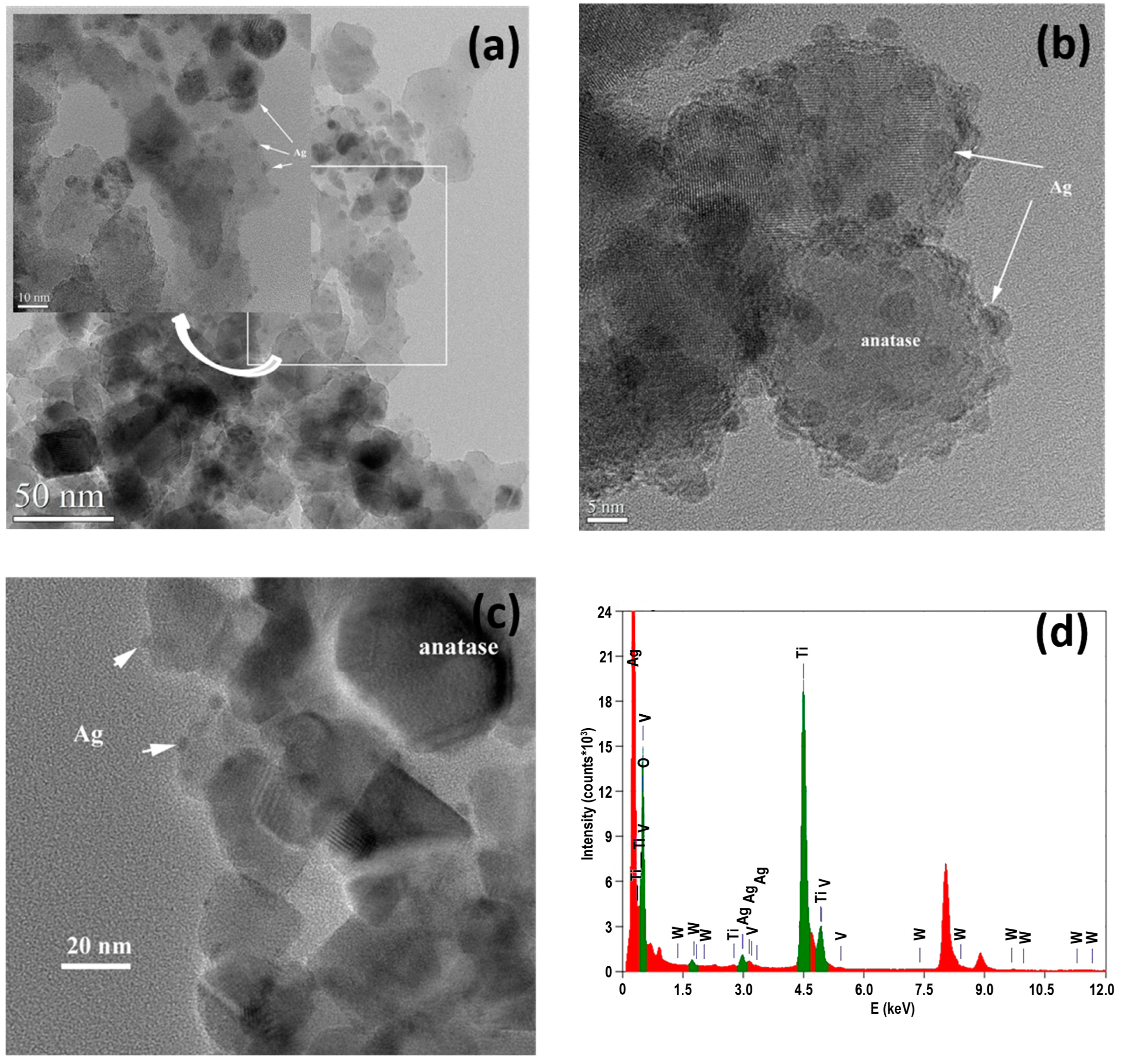 Chemosensors 12 00160 g003