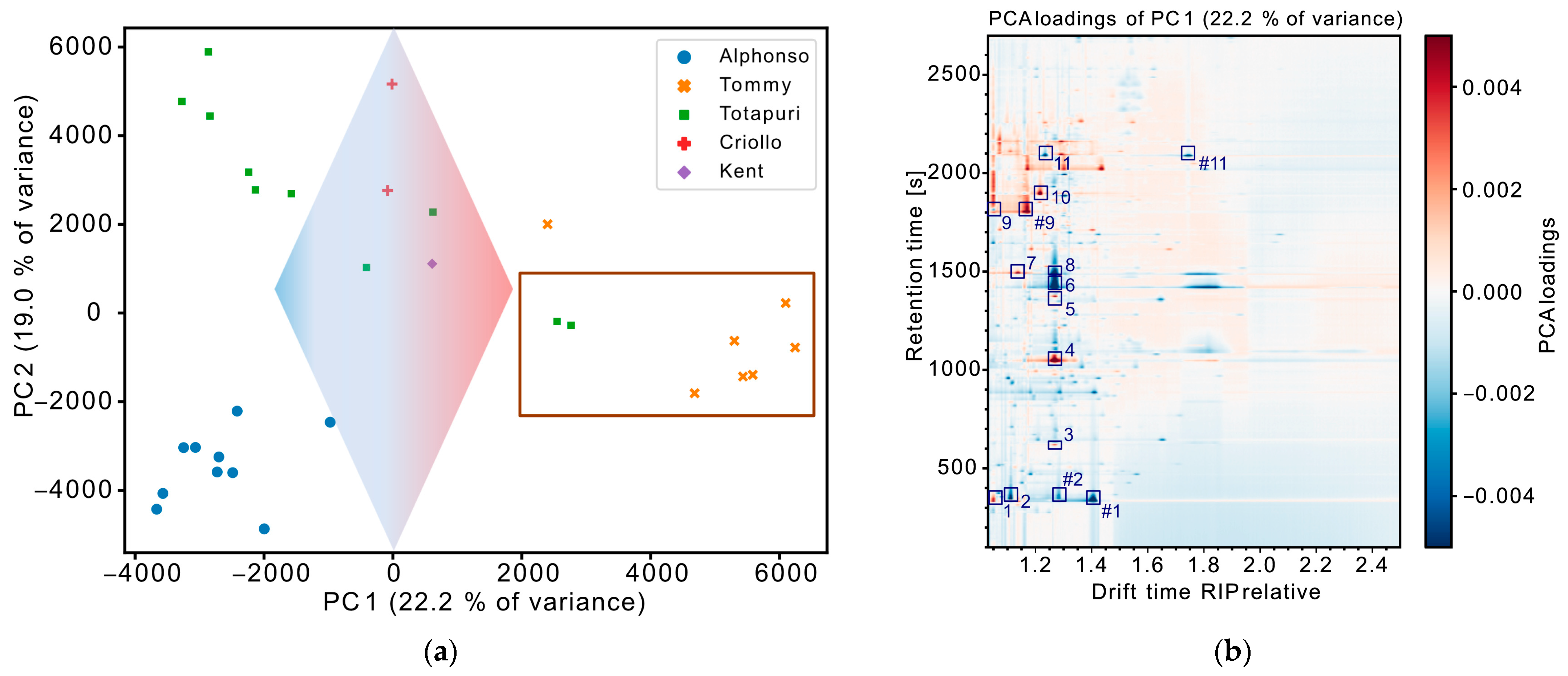 Chemosensors 12 00165 g004