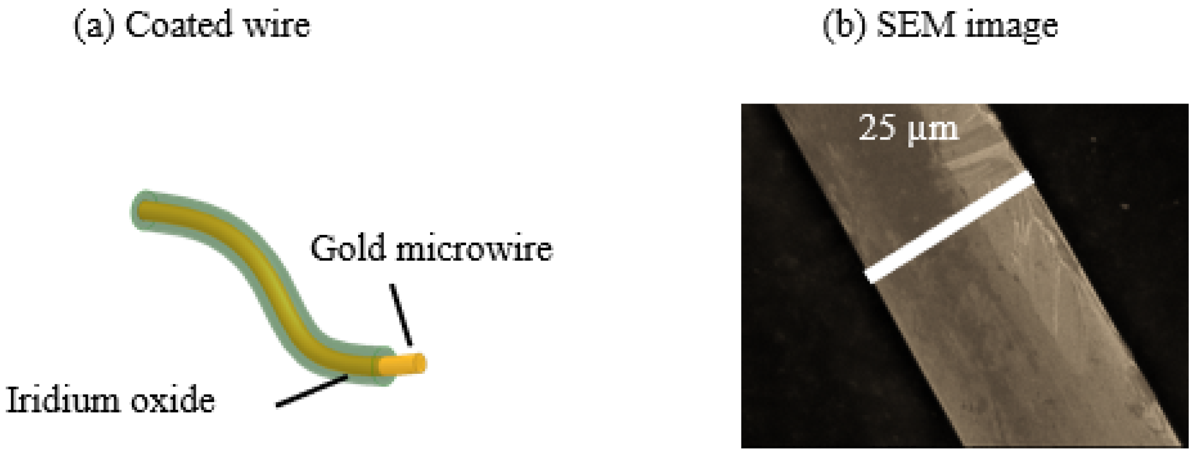 Chemosensors 12 00168 g001