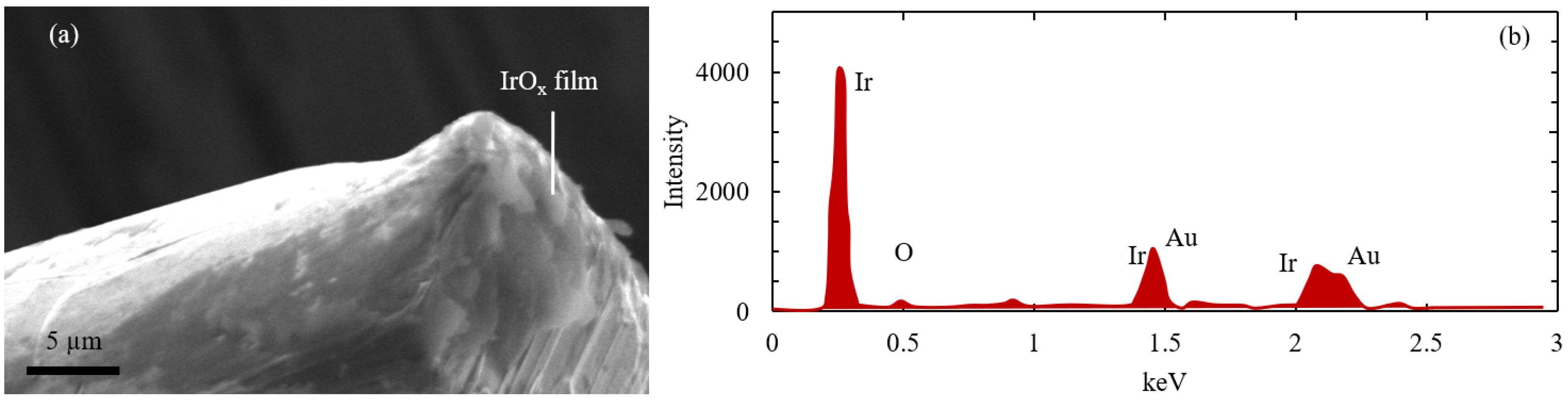 Chemosensors 12 00168 g002