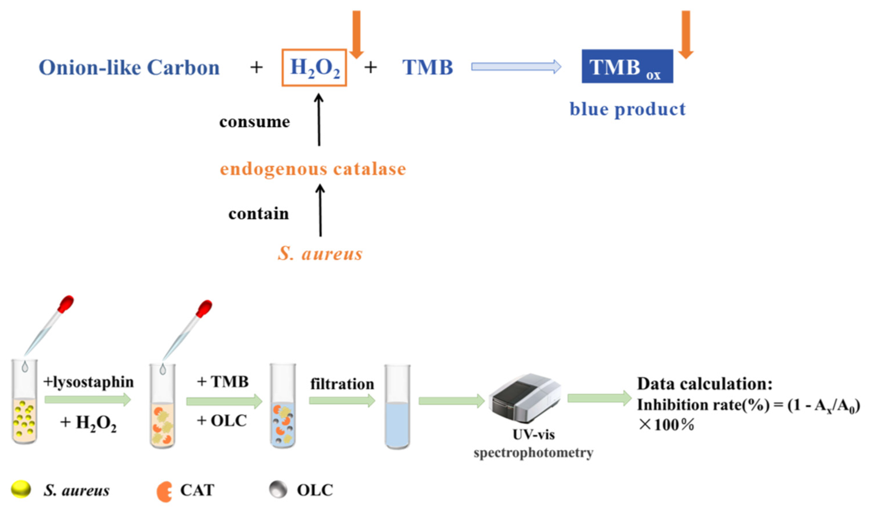 Chemosensors 12 00176 sch001