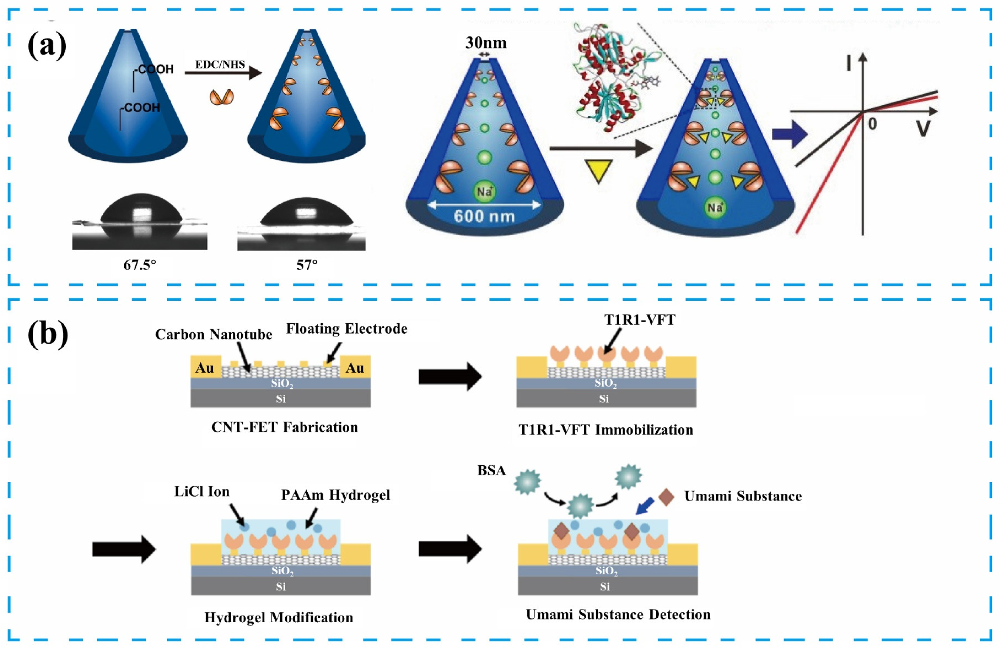 Chemosensors 12 00189 g004