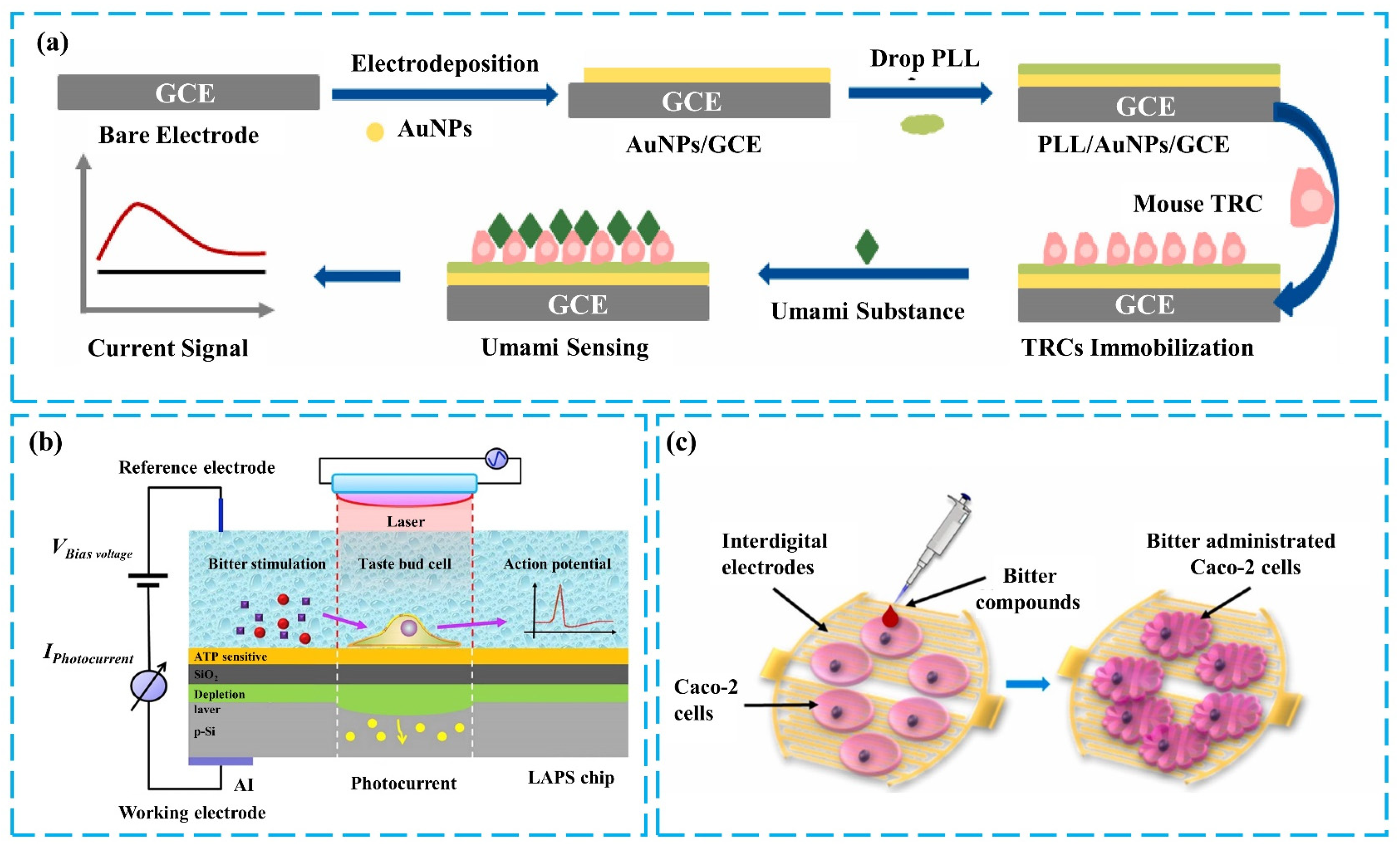 Chemosensors 12 00189 g005