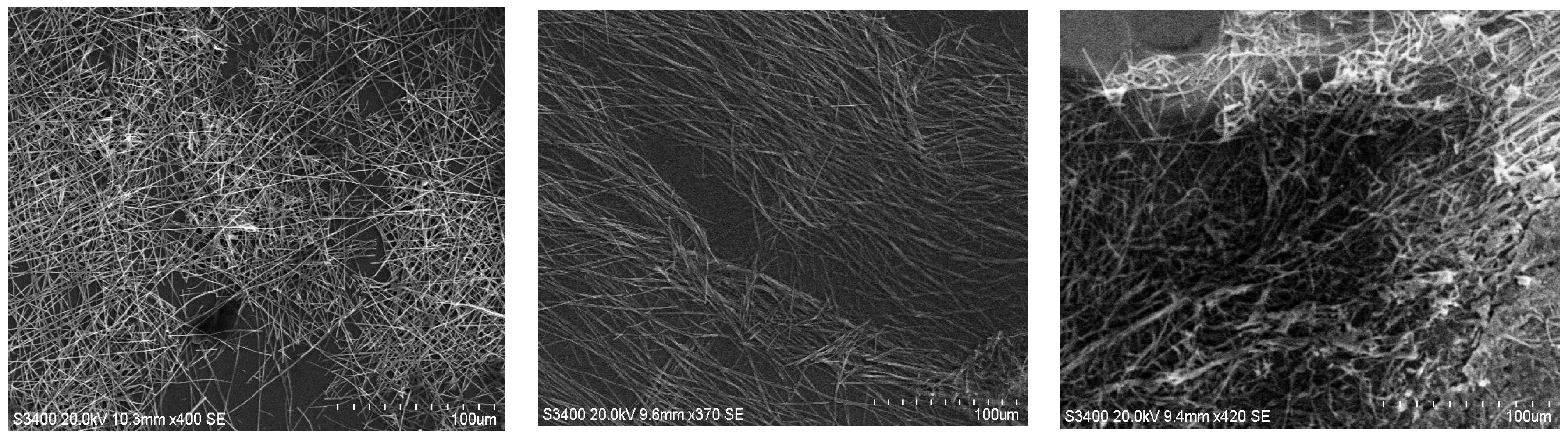 Chemosensors 12 00198 g011