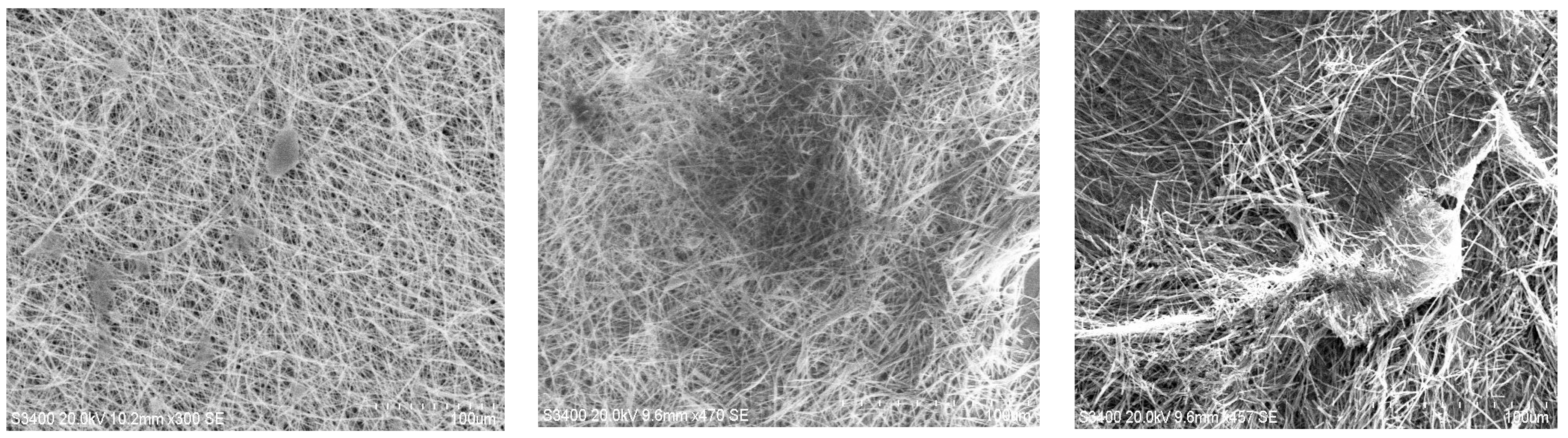 Chemosensors 12 00198 g012