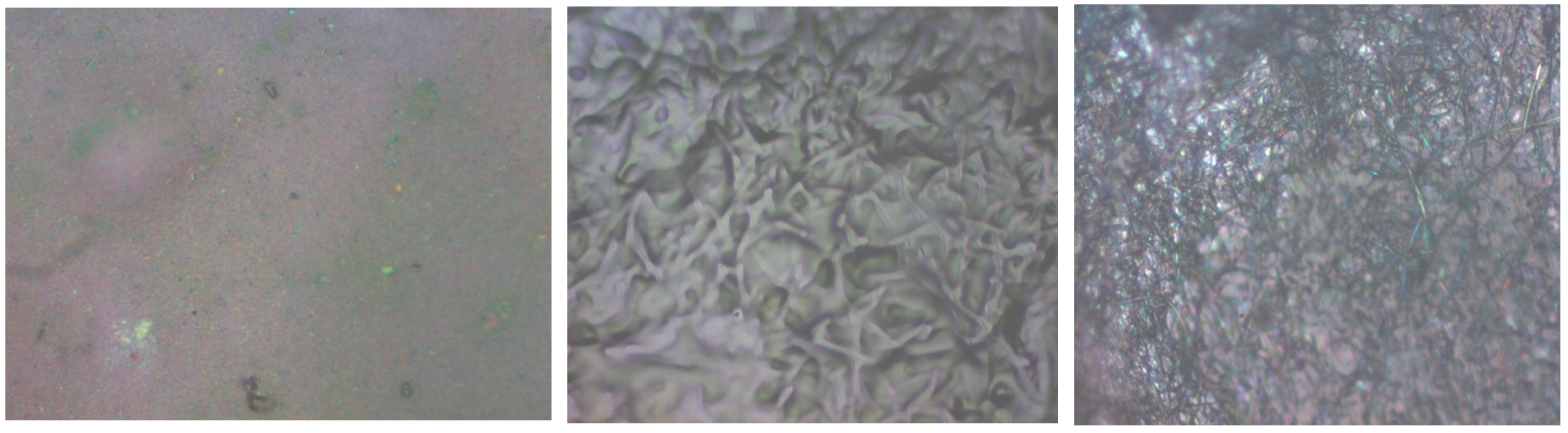 Chemosensors 12 00198 g013