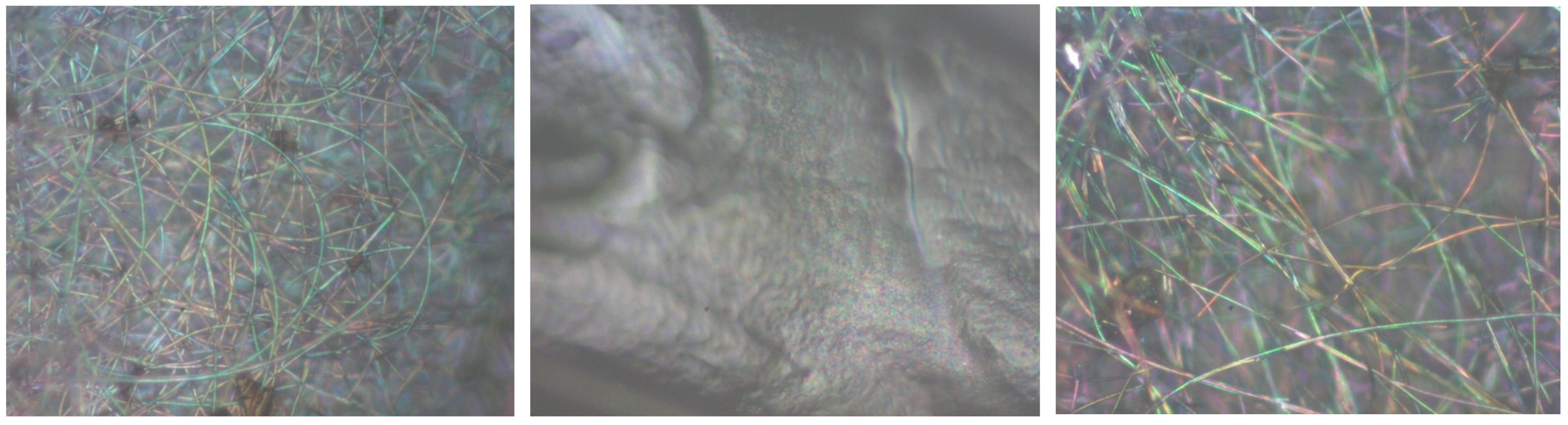 Chemosensors 12 00198 g014