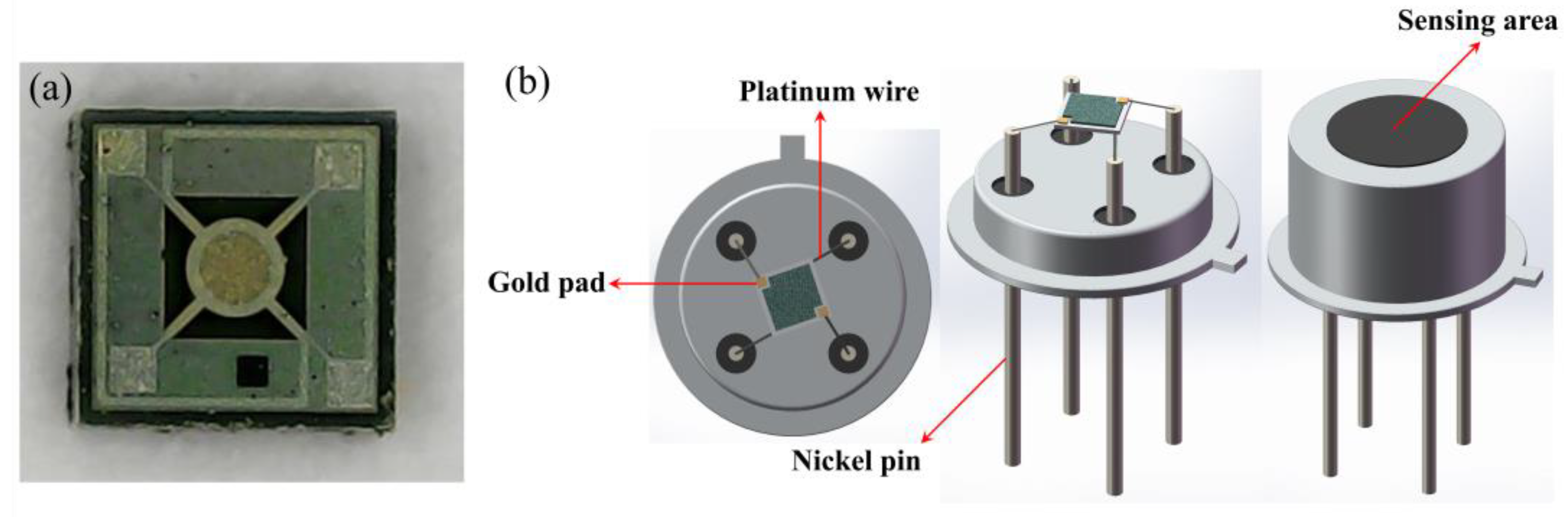 Chemosensors 12 00218 g002