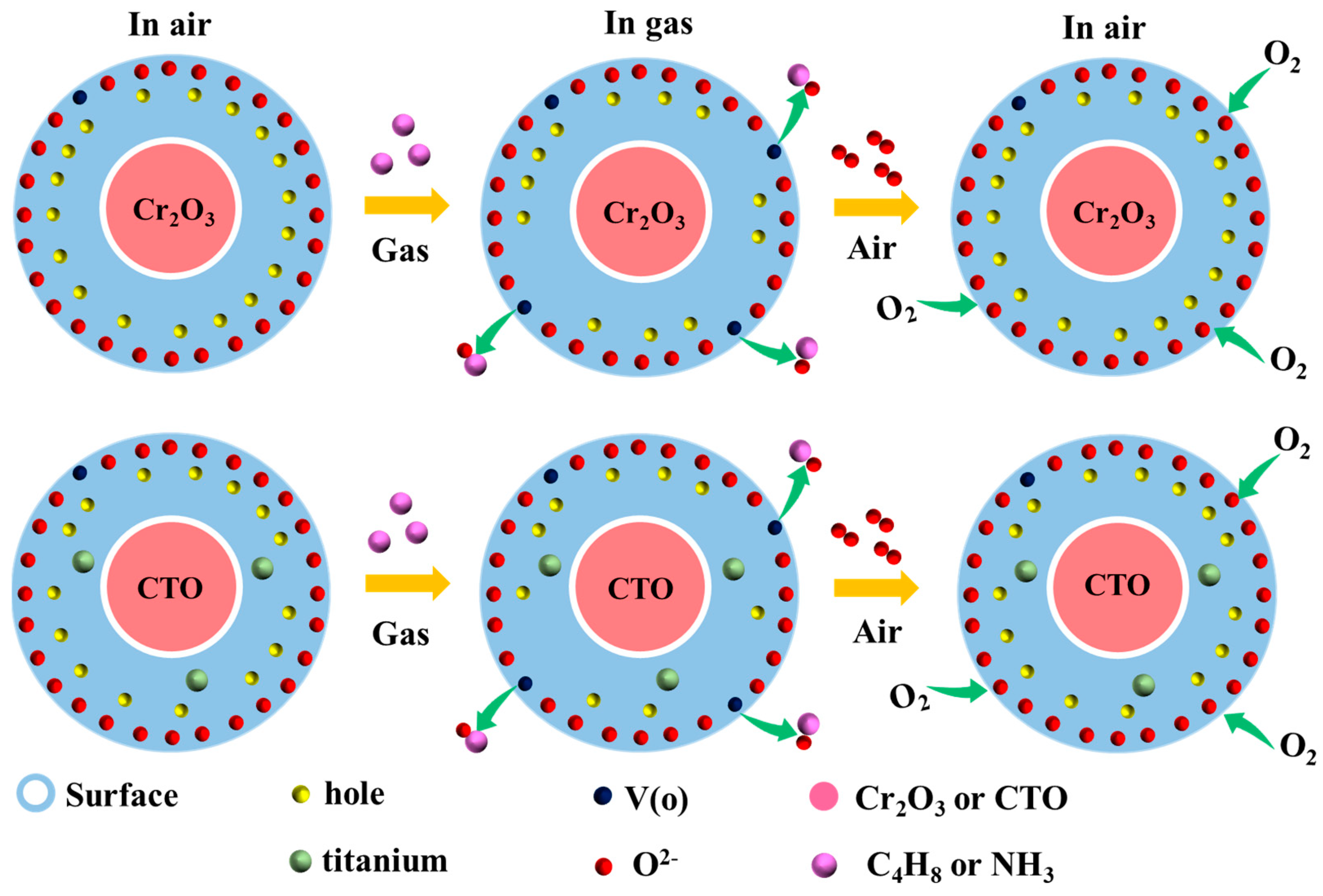 Chemosensors 12 00218 g010