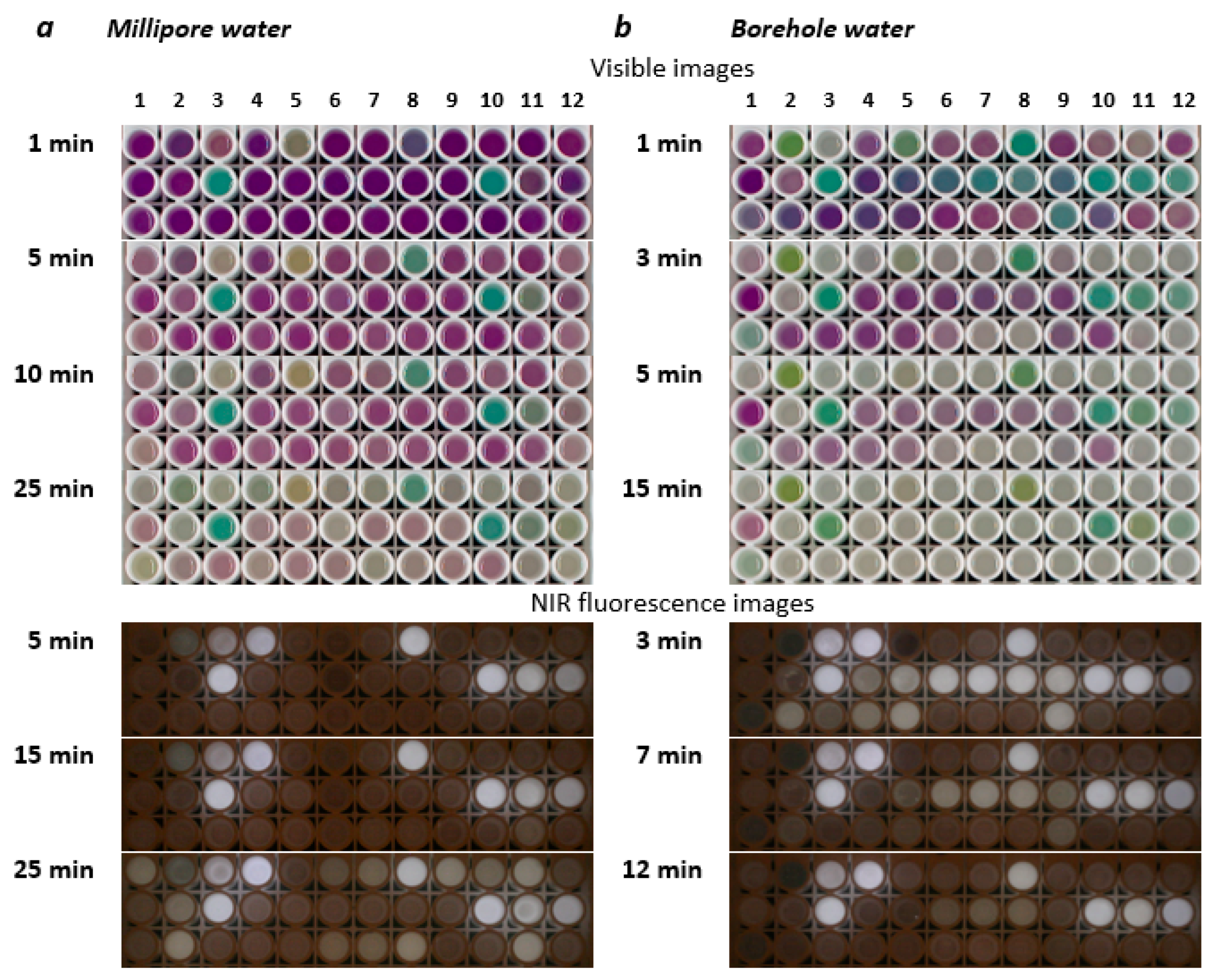 Chemosensors 12 00224 g002